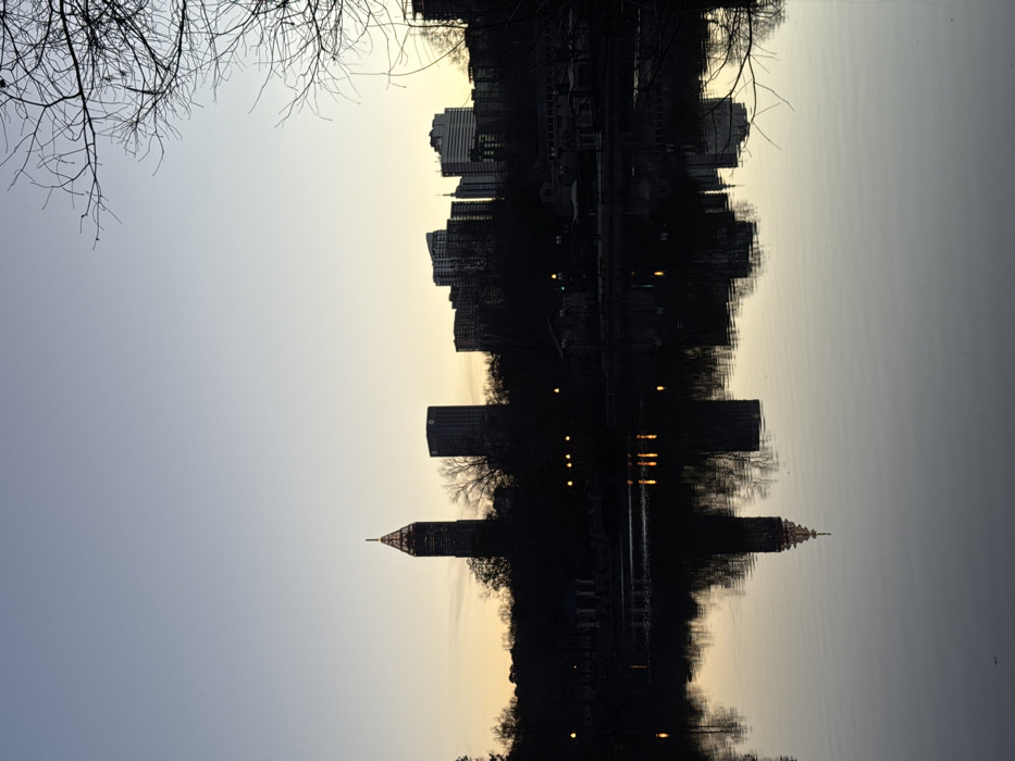 A cityscape reflects on a calm body of water, doubling the silhouette of the buildings against a pale sky. The iconic spire of a tall building stands out among the dark structures. Bare tree branches frame the upper left corner, adding a natural element to the urban scene. The overall impression is one of stillness and quietude at dusk or dawn.