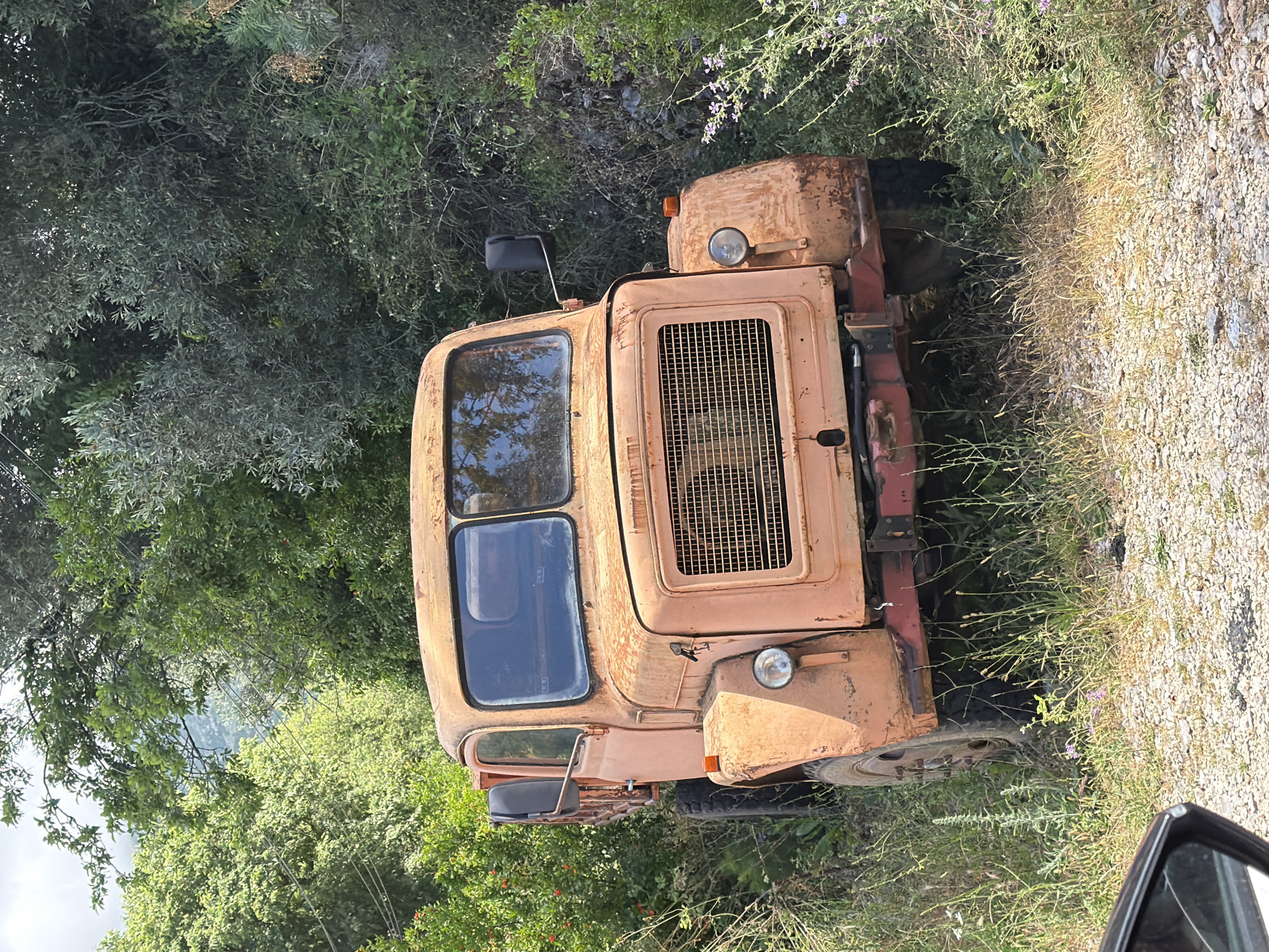 The image, captured in Bratešići, Montenegro, depicts an old, heavily rusted peach-orange colored vehicle, resembling a compact tractor or agricultural truck, parked amidst lush vegetation and a gravel path during the daytime.
The vehicle is the central subject, exhibiting significant signs of age and disuse, with widespread rust and faded paint covering its body, including the cabin, hood, and fenders. It features a cabin with two large, rectangular windows reflecting the bright sky and surrounding trees. A prominent, vertically oriented rectangular grille is visible on the front right side of the vehicle, with a single round headlight and an orange indicator light positioned nearby. A black side mirror extends from the left side of the cabin. The undercarriage and parts of the frame appear to be a darker, possibly reddish-brown color, contrasting slightly with the main body.
The vehicle is situated on a patch of dry grass and wildflowers, with dense green trees and bushes forming a verdant backdrop to its left. To the right, a light-colored gravel or dirt road/path is visible, also bordered by dry grass and sparse vegetation, including small purple flowers. The natural lighting suggests a sunny day with clear skies. No activity is taking place, and no people are visible, lending an atmosphere of abandonment and the quiet passage of time to the scene. No discernible text is visible on the vehicle or in the environment.