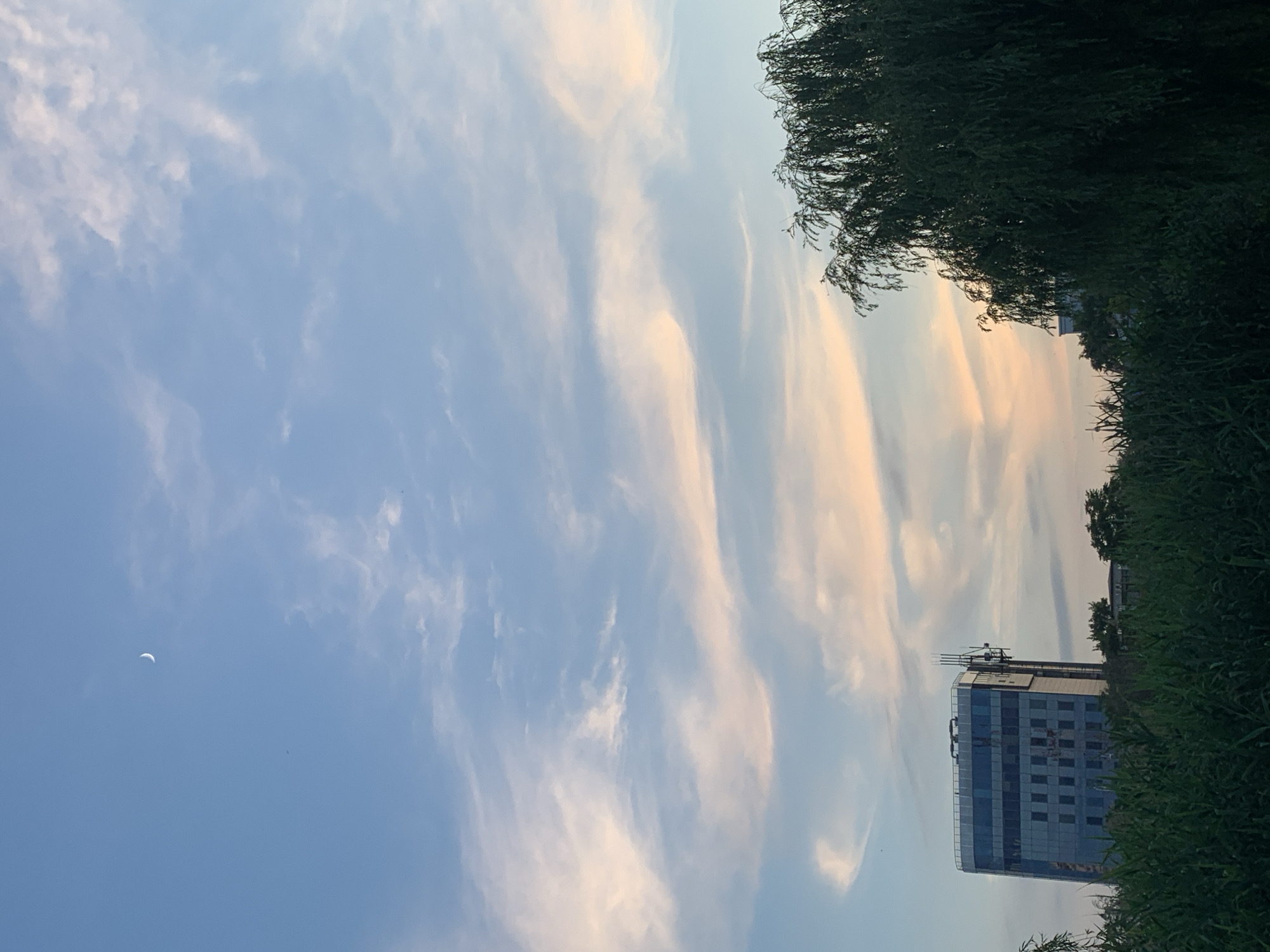 The image shows a view of a city at dusk. The sky is a gradient of blue and pink, with wispy clouds and a sliver of the moon visible. In the foreground, there is a dense patch of green vegetation, possibly tall grass or reeds. Behind the vegetation, a modern glass-fronted building stands tall, with a cellular antenna attached to its side. To the right of the building, a large, dark green tree with drooping branches is prominent. In the background, more trees and a smaller building can be seen. The overall impression is a serene, urban landscape transitioning into night.