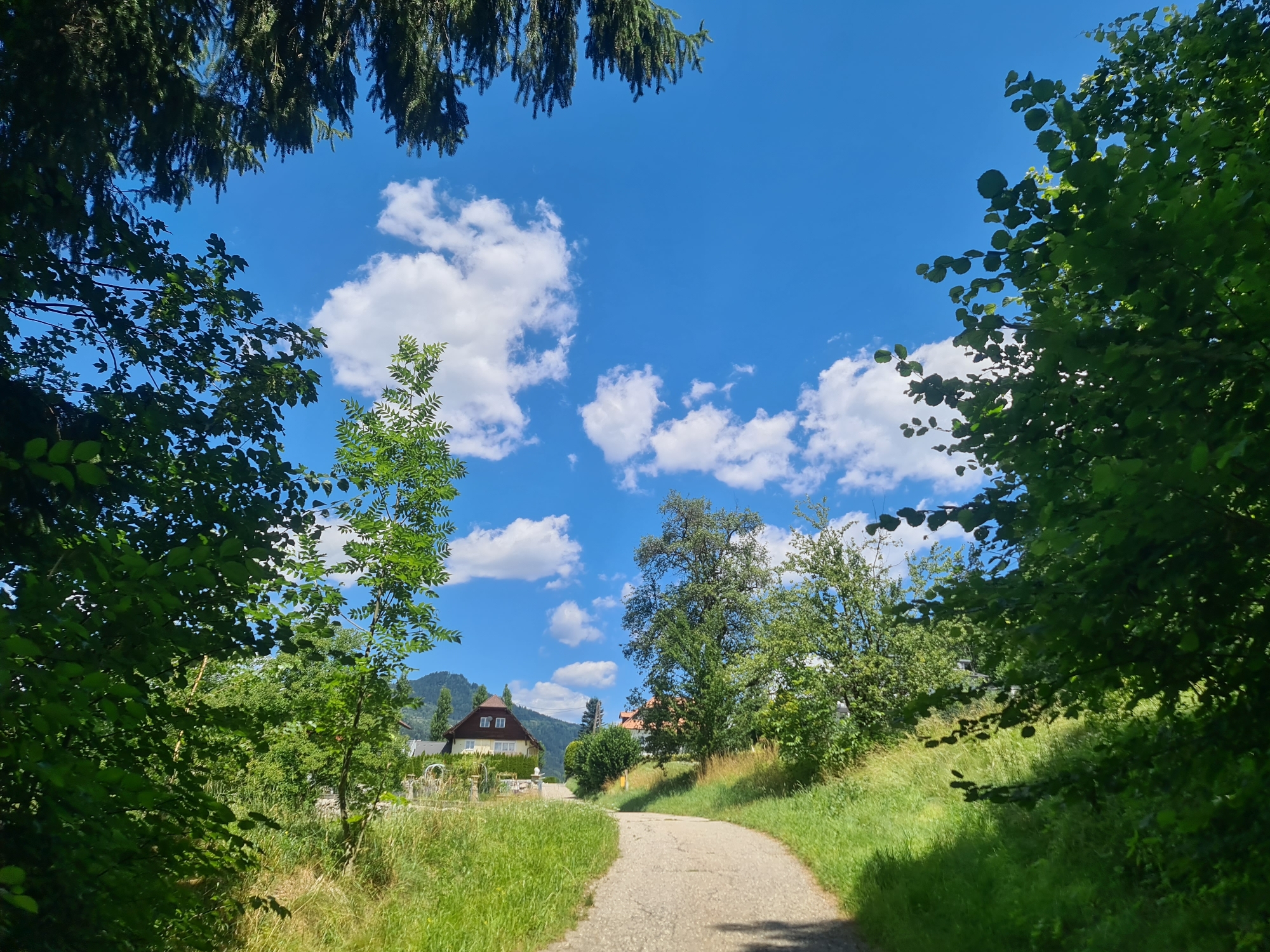 The image captures a scenic view of a paved pathway winding through a grassy, sun-drenched landscape. Lush green trees frame the path, with their branches reaching towards a vibrant blue sky dotted with fluffy white clouds. In the background, a charming house with a brown roof and light-colored walls is nestled amongst the trees, suggesting a tranquil, rural setting. The overall impression is one of natural beauty and peacefulness. This scene could be located in or around Feldkirchen in Kärnten, Austria, given its pastoral aesthetic and typical architectural style of the region.