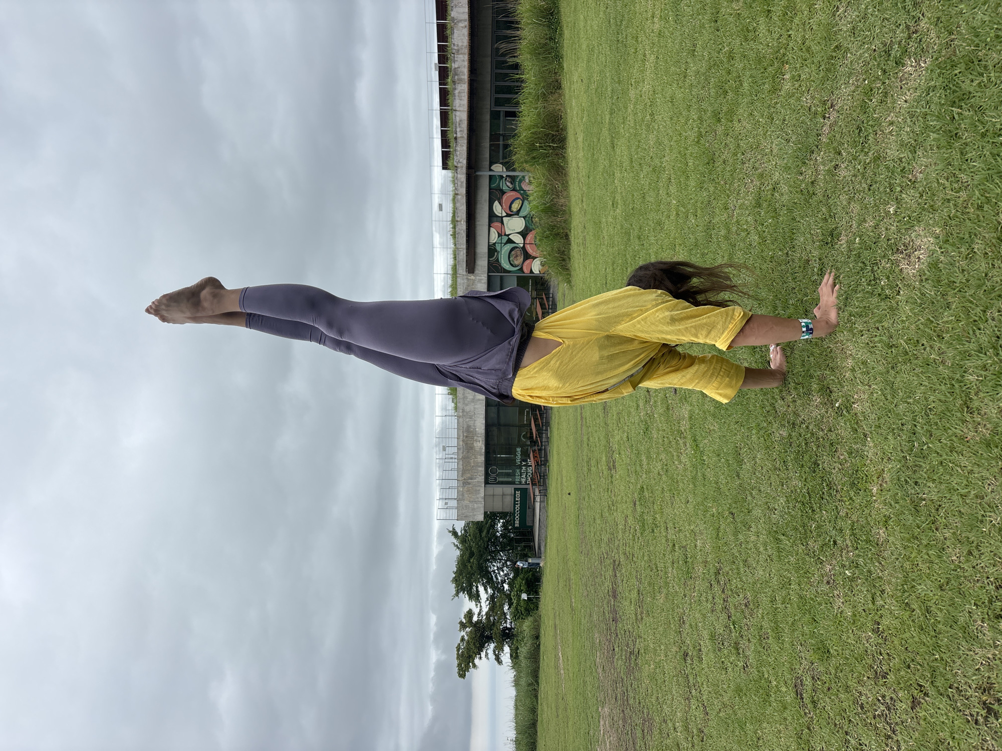 A person is performing a handstand on a grassy field under a cloudy sky. The person is wearing a yellow long-sleeved shirt and purple leggings. Their legs are extended upwards, forming a straight line. Their hands are on the ground, supporting their body. The background shows a building with grass and trees. There is some text visible on the building which says "SHINRO COLLEGE". The weather appears to be overcast. The overall scene suggests an outdoor athletic activity taking place in a park or campus setting.