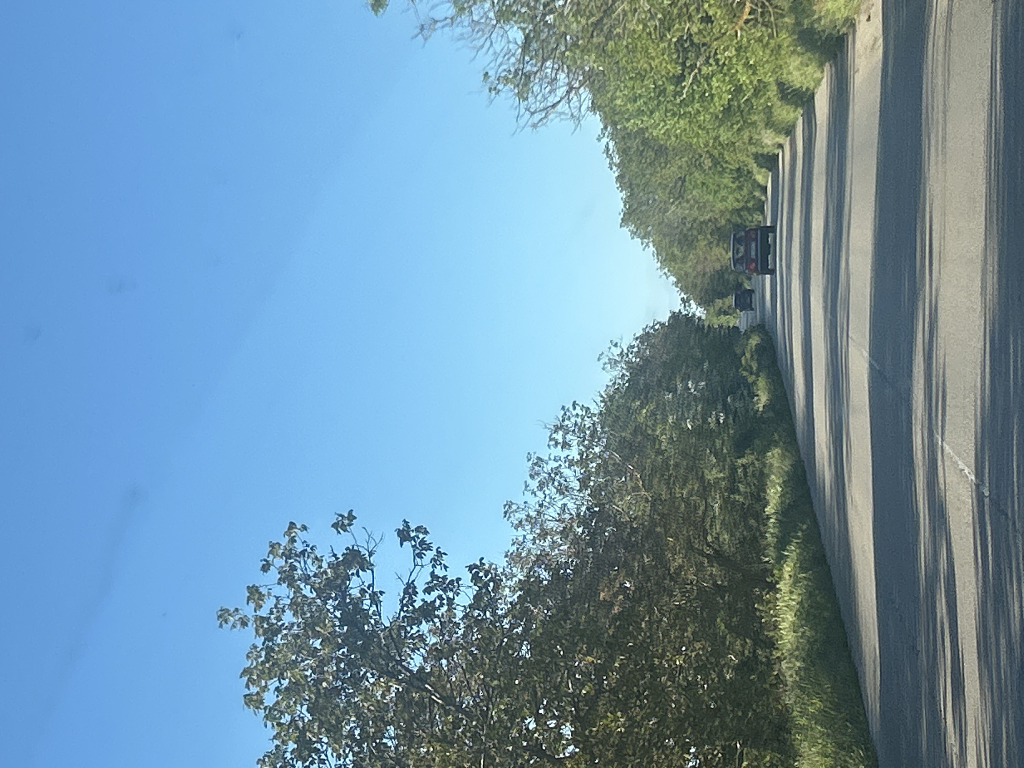 The image shows a road flanked by trees and foliage. The sky is visible to the left of the road. There are two cars visible on the road, driving in the same direction. The location is unknown.
