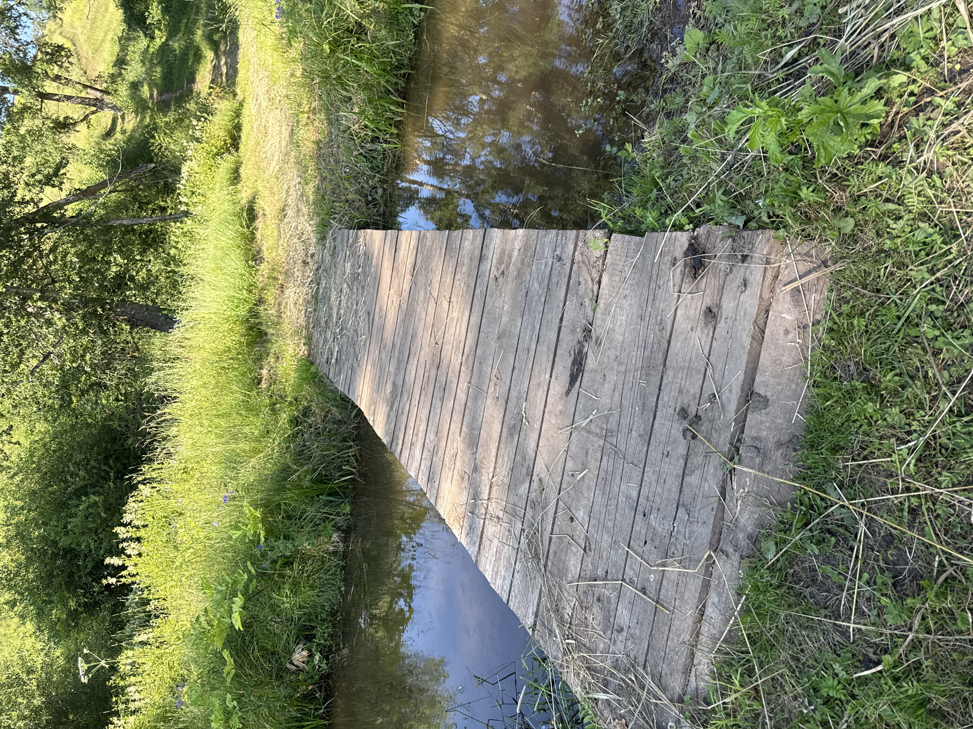 The image shows a rustic wooden footbridge spanning a narrow, calm stream in a rural setting. The bridge is constructed from weathered wooden planks laid horizontally. The stream has dark, reflective water with some vegetation visible along its banks. The surrounding environment is lush and green, with tall grasses, wildflowers, and trees. The scene appears to be outdoors in a natural landscape, likely during daytime, with sunlight illuminating the foliage and the bridge. The location is identified as Lyalshur, Russia. There are no people or animals visible in the image.
