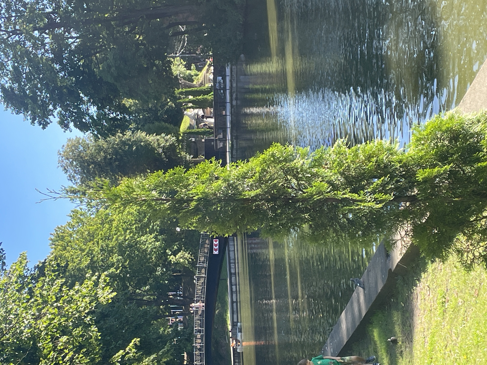 The image captures a scenic view of a park alongside a body of water, likely a river or canal, under a clear blue sky. In the foreground, a tall, slender evergreen tree stands prominently. To the left, a stone embankment runs along the water's edge, with a patch of green grass behind it. A young boy in a green t-shirt and shorts is partially visible on the left, standing on the grass. Further along the embankment, two pigeons are present, one perched on the stone and another on the grass.
In the mid-ground, a pedestrian bridge spans the water, with several people walking across it. The bridge has a dark railing and a dark deck. On the far side of the water, a paved walkway is visible, lined with trees and some structures that appear to be part of the park's landscape, possibly including decorative statues or architectural elements.
The water is calm with ripples reflecting the sunlight and the surrounding greenery. The background is dominated by dense trees, forming a lush green canopy. The overall impression is one of a tranquil, sun-drenched park environment.
Regarding the location in Sof'ino, Russia, this scene is consistent with the park area often referred to as the "Sof'ino Embankment" or similar public spaces along the water in that vicinity. These parks are characterized by walking paths, bridges, and abundant greenery, providing recreational opportunities for residents and visitors.