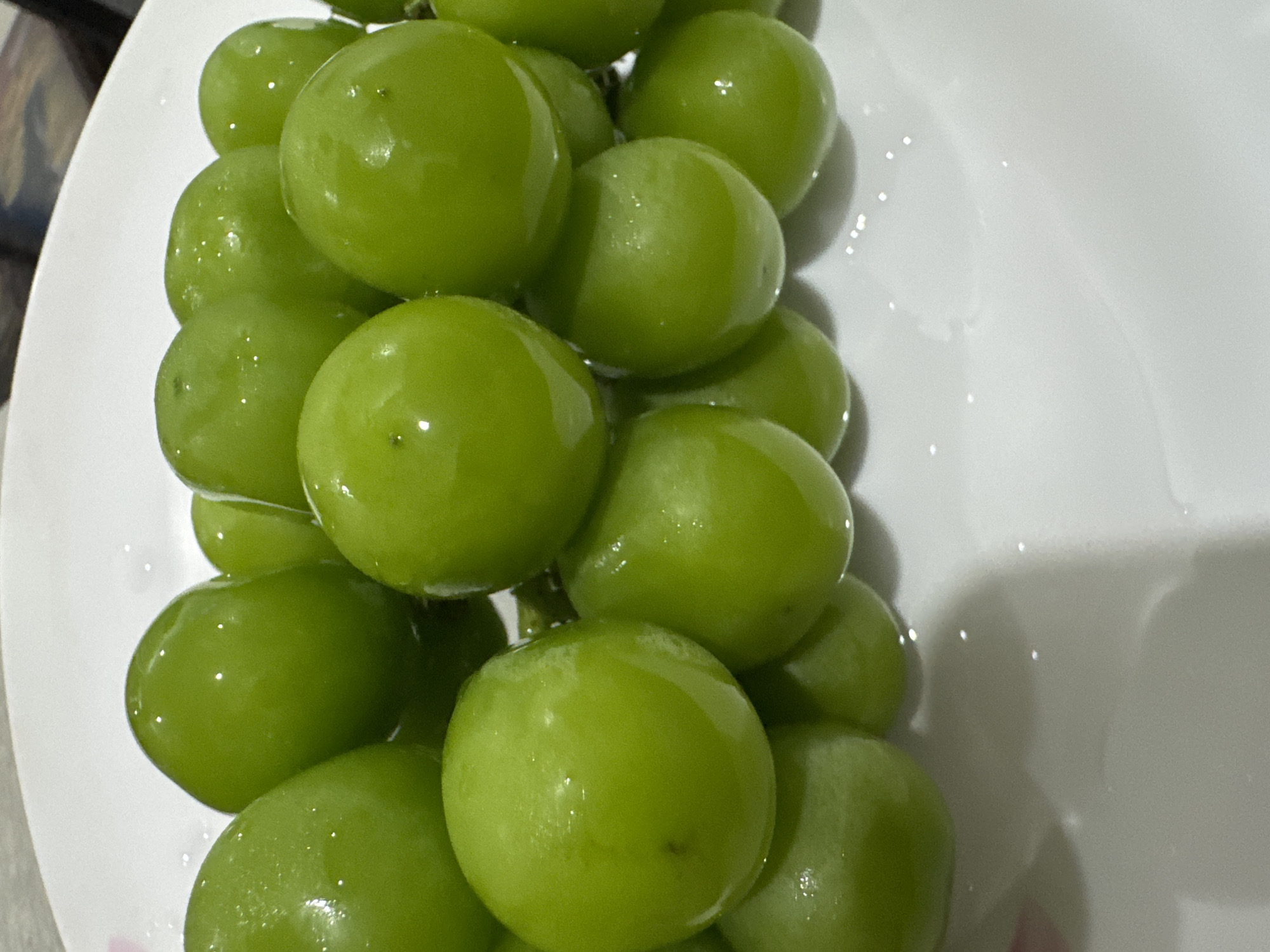 A close-up, overhead shot showcases a cluster of ripe, green grapes on a white plate. The grapes are plump and round, with a smooth, slightly glossy skin that reflects the light, indicating they are fresh and possibly wet from rinsing. Tiny water droplets are visible on the surface of several grapes, adding to their dewy appearance. The arrangement of the grapes is organic, with some overlapping and others nestled closely together, creating a sense of abundance. The background is dominated by the white of the plate, which provides a clean, minimalist contrast to the vibrant green of the fruit. The lighting appears to be from an artificial source, casting soft shadows and highlighting the curvature of each grape. No people are visible in the frame, and there are no discernible location cues beyond the implied setting of a kitchen or dining area. The overall impression is one of freshness and simple natural beauty.
