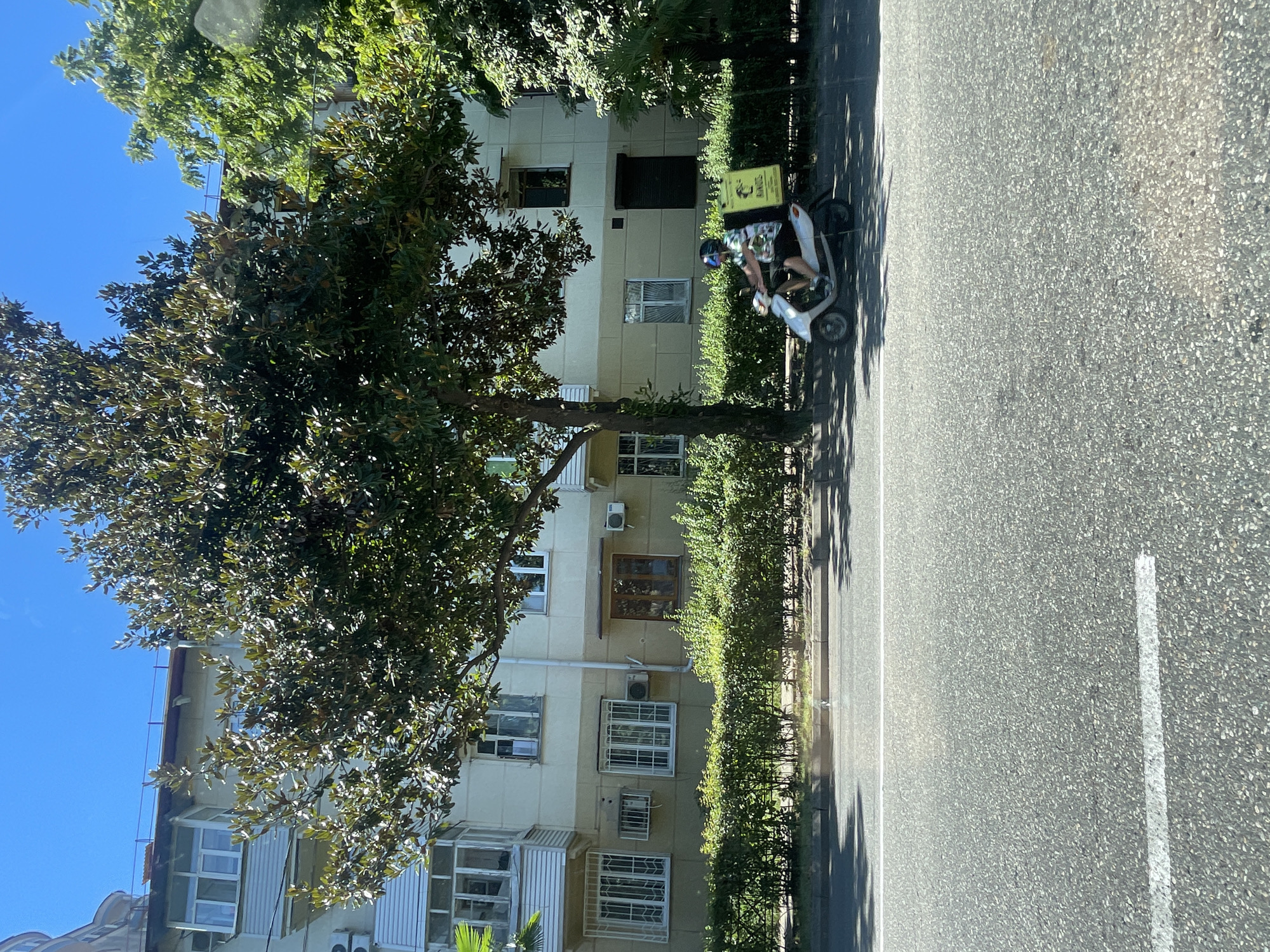The image depicts a sunny day in Sochi, Russia. A delivery person on a white scooter with a yellow insulated box on the back is riding on the asphalt road. The scooter is passing by a row of manicured green bushes that separate the road from a light-colored apartment building. The building has multiple windows and balconies, and a large, leafy tree shades a portion of the scene. The sky is clear and blue. The scooter has a rider wearing a helmet, patterned shirt, and dark shorts. The yellow box on the back of the scooter has a logo with text that is not clearly legible.