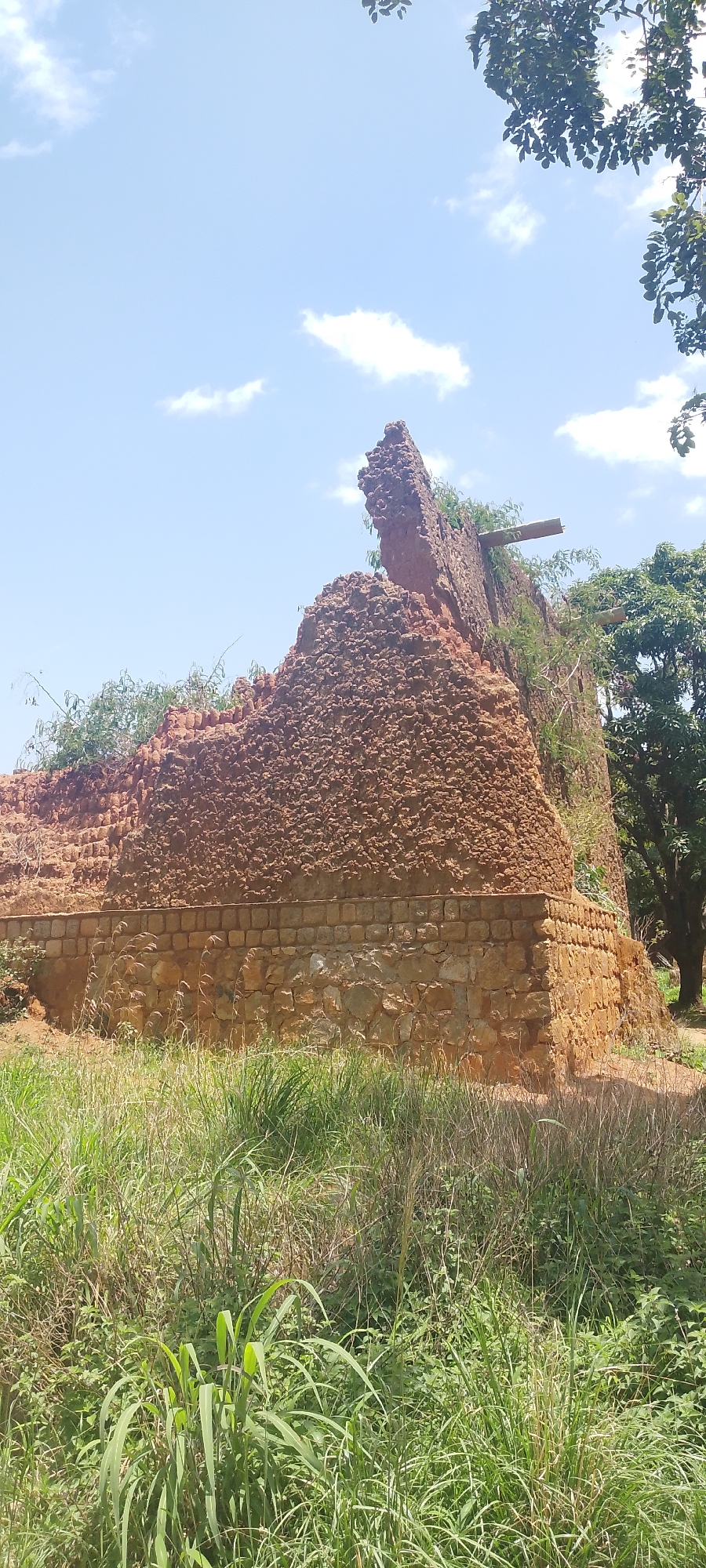 The image depicts the dilapidated remains of a structure in Dorowa, Nigeria. The building appears to be constructed from a reddish-brown material, possibly laterite, with rough, textured surfaces. A lower section of the structure is reinforced with stones. Vegetation, including tall grasses and leafy plants, grows around the base and encroaches upon the ruins. The sky above is blue with scattered white clouds. The overall impression is one of decay and overgrowth in an outdoor environment.