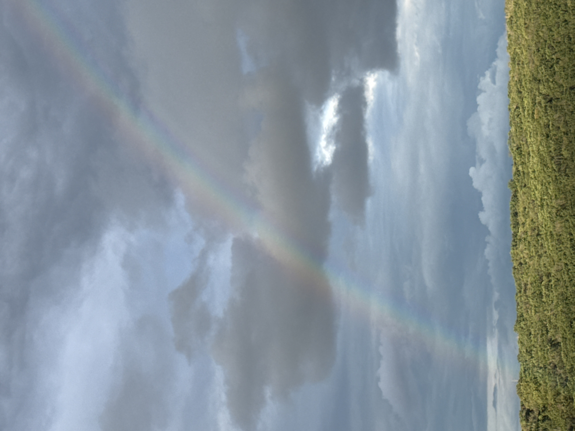 A rainbow arcs across a cloudy sky. Green vegetation appears on the right side of the image. The location is unknown.