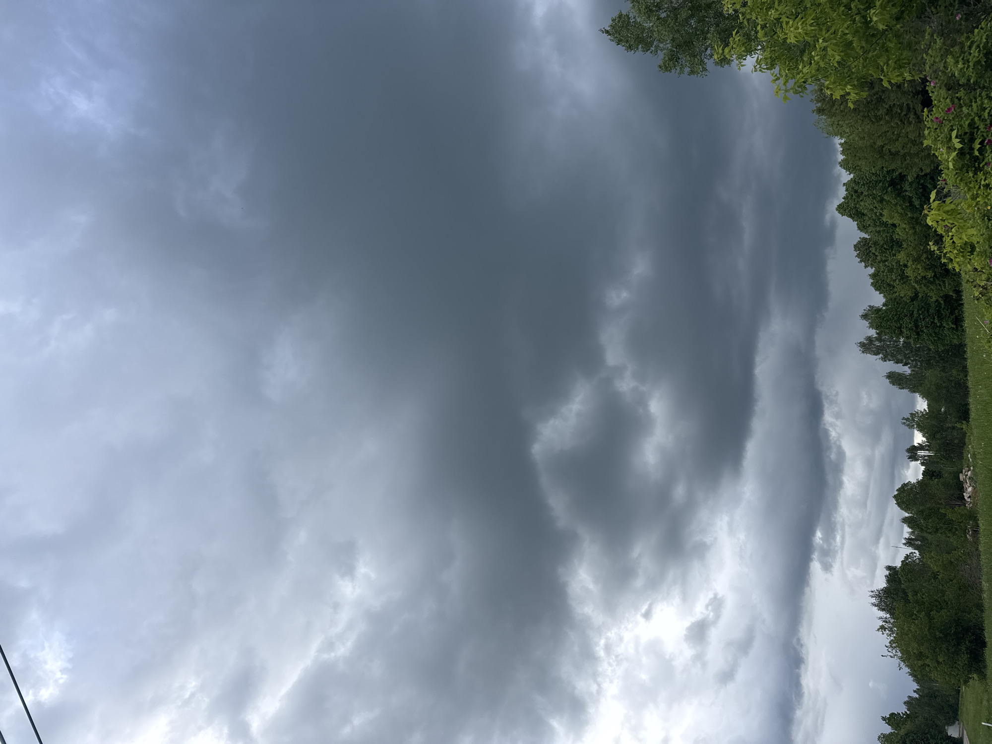 The image shows a cloudy sky over Shevlyakovo, Russia. Dark, ominous clouds dominate the view, suggesting an approaching storm. Patches of green trees and vegetation are visible along the edge of the frame, indicating a natural landscape. The lighting is muted due to the heavy cloud cover. A powerline is visible in the lower left corner. The image captures a scene of impending weather change in a rural or suburban area of Shevlyakovo.