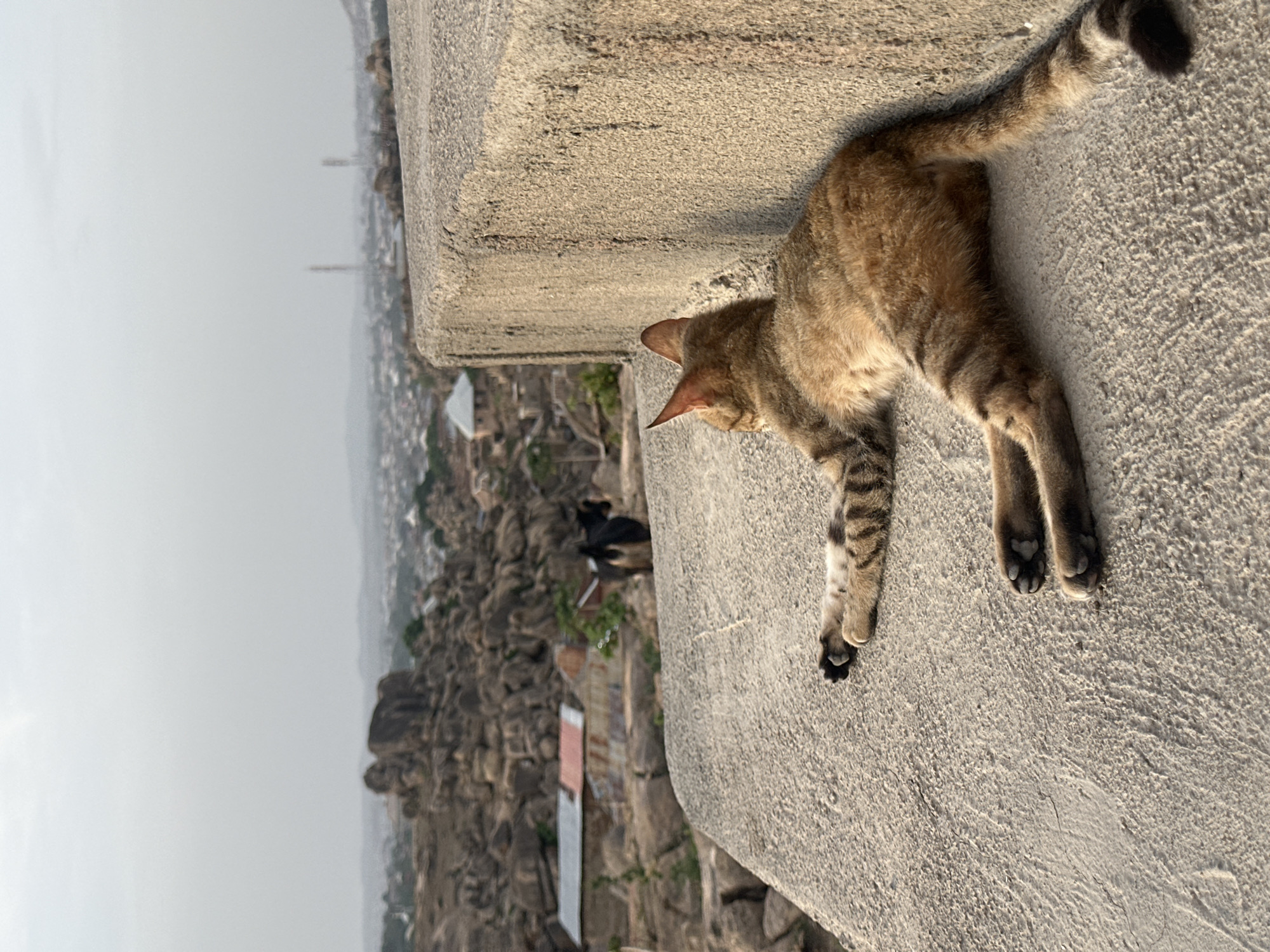 A brown tabby cat is lying on a concrete ledge in the city of Jos, Nigeria. The cat is positioned with its head facing towards the left side of the frame and its body stretched out along the ledge. The ledge appears to be part of a building or structure overlooking the urban landscape. The city of Jos is visible in the background, with buildings and natural rock formations stretching into the distance. The sky is overcast, creating soft lighting across the scene.