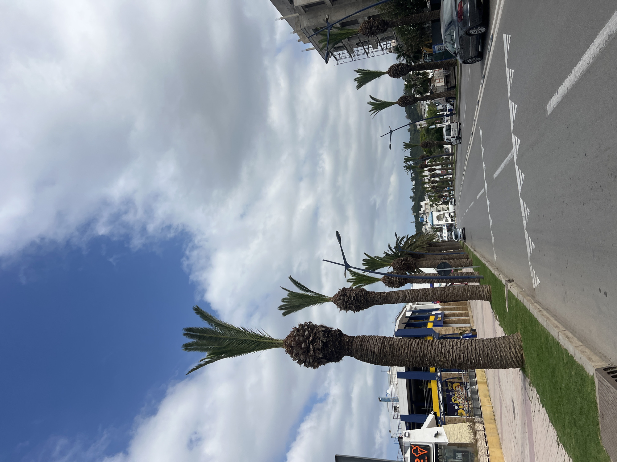 A street in M'Diq, Morocco, is lined with palm trees. The street is paved and has white lane markers. A sidewalk runs parallel to the road, separated by a strip of grass. Buildings are visible on both sides of the street. The sky is partly cloudy, with patches of blue. A few cars are parked or driving on the street.