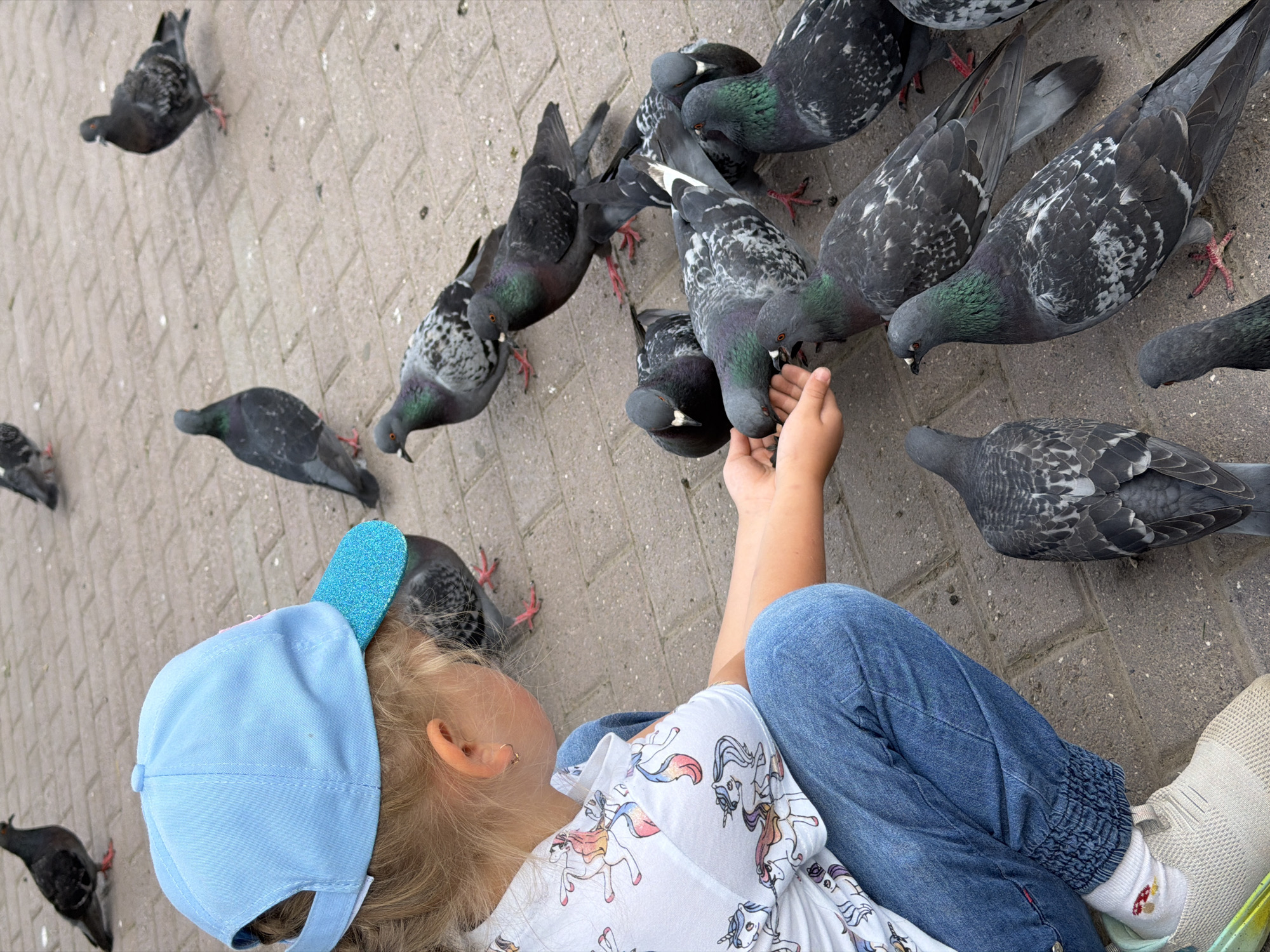 The image shows a young child wearing a light blue baseball cap, a white t-shirt with a unicorn print, and blue jeans. The child is sitting on a paved surface, possibly a sidewalk or patio, with a flock of pigeons gathered around. The pigeons are pecking at something on the ground, and one pigeon is reaching towards the child's outstretched hand. The child appears to be feeding the pigeons. The scene is outdoors, and the lighting suggests it is daytime. The paved surface is made of rectangular blocks. Some pigeons are a darker gray, while others have lighter gray and white markings. The child's hair is blonde, and they have fair skin. The overall impression is one of a peaceful interaction between a child and nature. The location is identified as Chaikovsky, Russia. There is no visible text in the image.