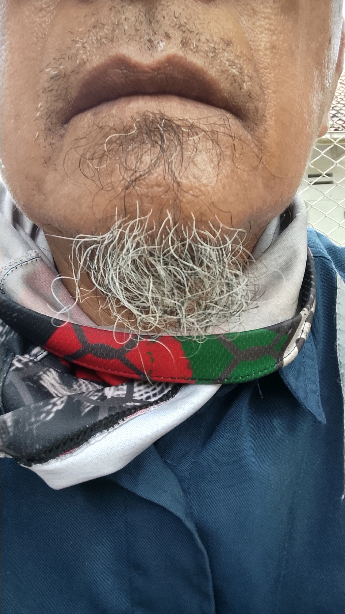 The image shows a close-up of a person's chin and neck area, focusing on a small, patchy beard with predominantly gray hairs, mixed with darker hairs. The person is wearing a dark blue collared shirt. Around their neck, they have a patterned fabric, possibly a bandana or scarf, with sections of black and white graphics, red, and green. The background is blurred, but appears to be an outdoor setting with a fence-like structure visible on the right. The lighting suggests it is daytime. There is no specific indication of the location being in Tlogobendung, Indonesia, as the image only captures a facial detail.