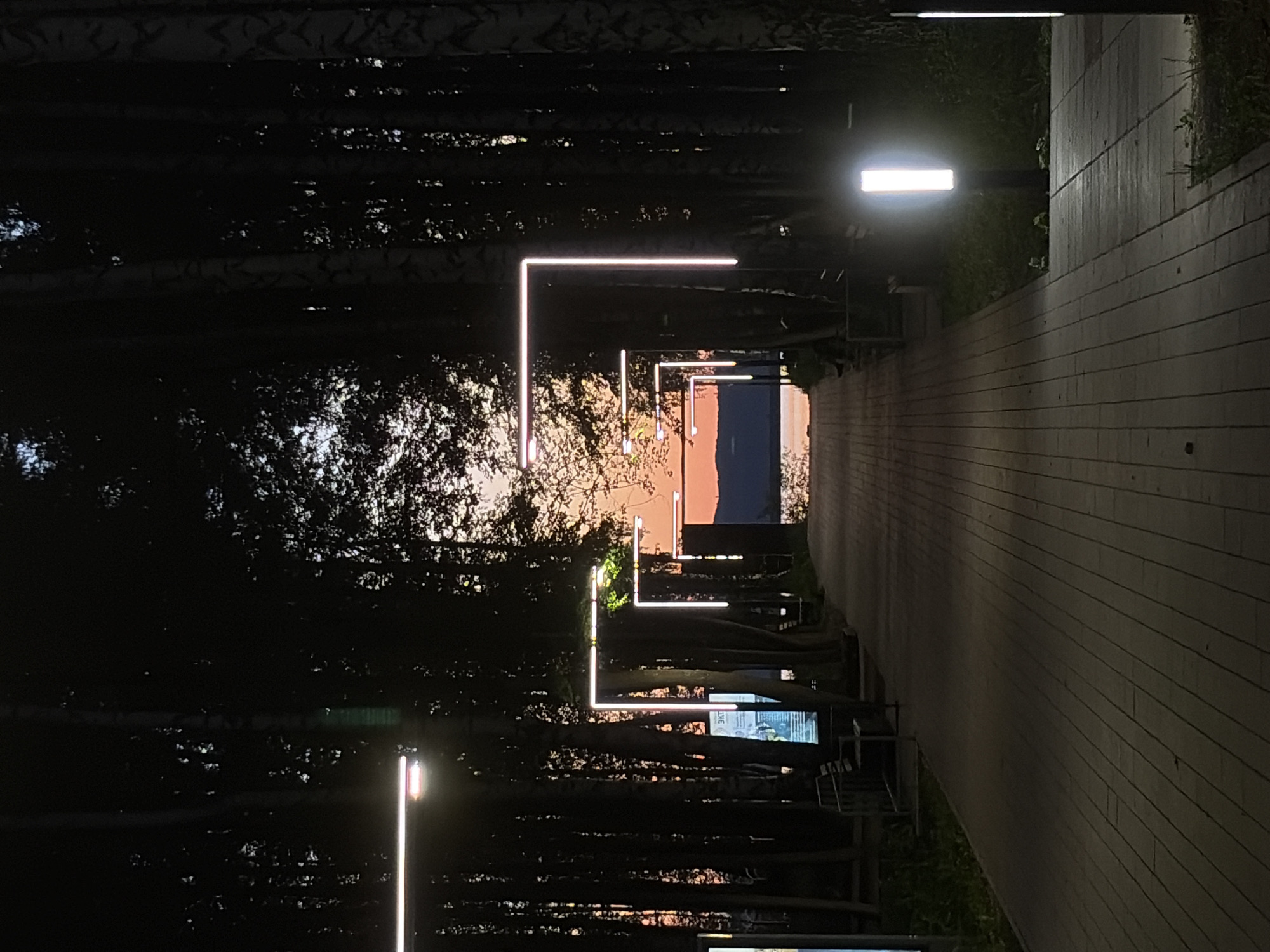 The image, when correctly oriented, displays a tranquil outdoor pathway at dusk or early night. The path extends into the distance, bordered by a dense line of trees on the left and a low wall or retaining structure on the right.
The time of day is clearly twilight, as indicated by the warm, soft hues of orange and pink visible in the sky through the tree canopy, gradually fading into a lighter blue. Artificial lighting illuminates the scene, featuring modern, linear LED lights. A series of distinctive L-shaped vertical and horizontal lights glow brightly along the tree line, creating a repeating architectural element that draws the eye down the path. Additionally, rectangular, horizontally mounted luminaires provide broader illumination to the pathway itself.
The pathway is broad and appears to be constructed from light-colored, horizontally laid planks or paving stones, suggesting a boardwalk or a contemporary pedestrian zone. The trees on the left are primarily seen in dark silhouette, though some detail of their bark (possibly birch) is visible in the crops. Their foliage creates a dark mass against the sky. On the right, a light-colored wall or structure runs alongside the path, topped with some dark green vegetation in sections.
Among the trees, particularly in the mid-ground, several dark benches or seating areas are discernible, along with multiple illuminated display boards. One board clearly shows partially visible Cyrillic text, including the letters "ЭКО", which suggests an ecological or environmental theme. No people are visible in the image, contributing to a serene and peaceful atmosphere. The overall setting is a well-designed, modern urban park or promenade, inviting evening strolls.