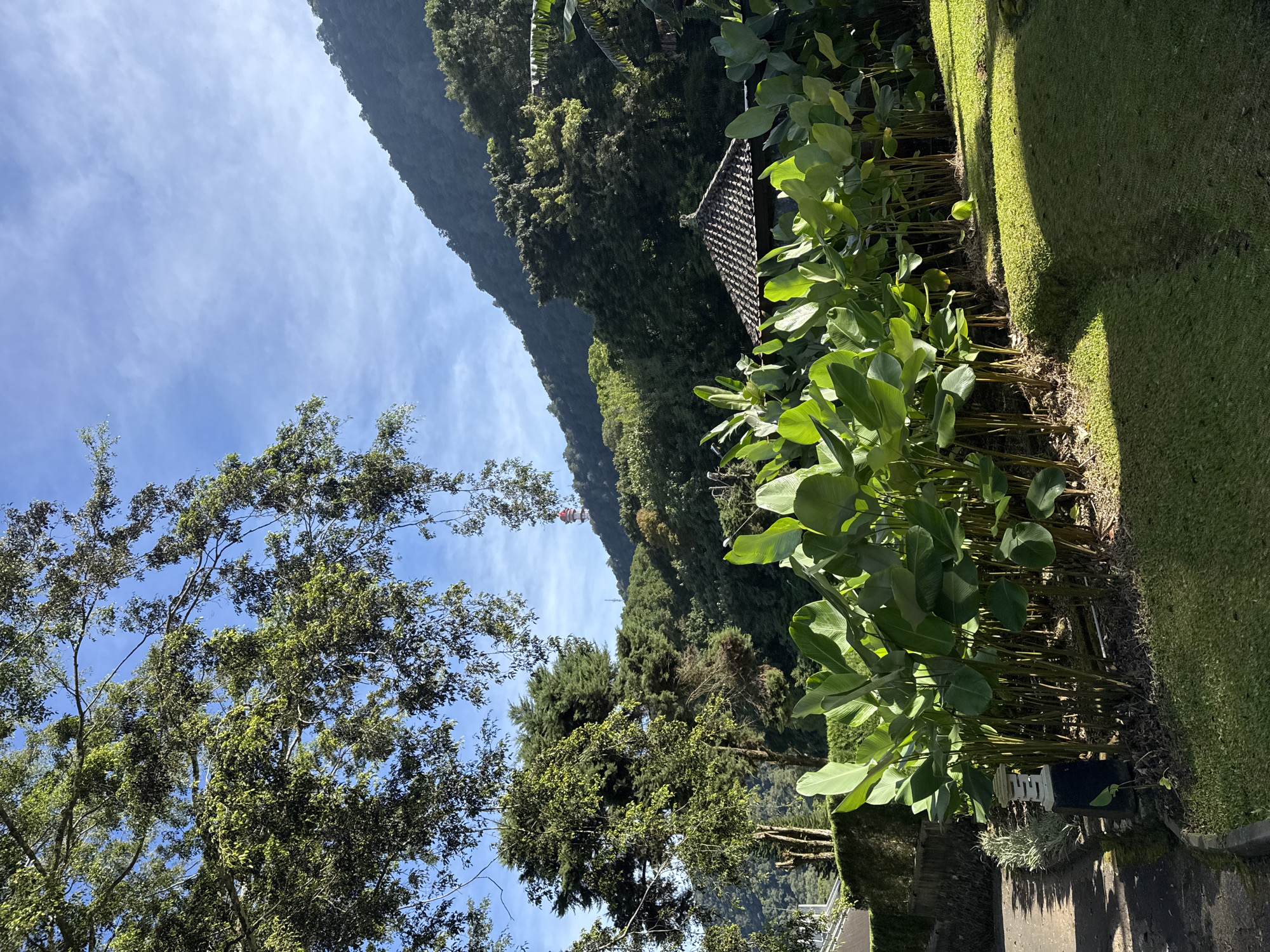 The image presents a landscape view, possibly taken on a hillside or elevated terrain. The foreground features lush green vegetation, including large-leafed plants and grass, lining what appears to be a stone or concrete pathway. In the middle ground, a dense forest covers the slope of a mountain. A structure with a tiled roof peeks out from among the foliage. A communication tower is visible in the distance on the mountain. The sky is blue with scattered clouds.