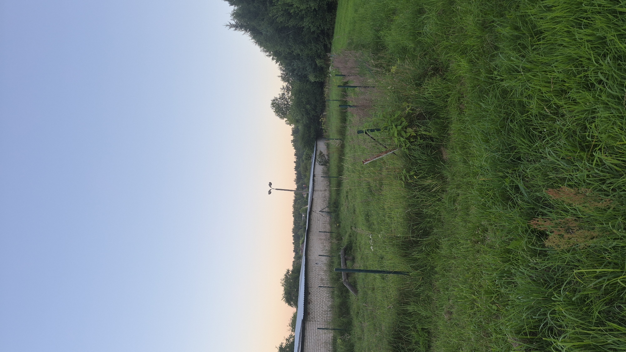 This is a vertical, eye-level, medium shot of an outdoor scene at dusk in Krauja, Latvia. The foreground is dominated by tall, green grass and some dry, reddish weeds. A low fence made of thin metal posts runs horizontally across the middle of the frame. Behind the fence, a long, low-rise building with a corrugated metal roof and light-colored brick walls stretches from the left side of the image towards the center. A double-headed lamppost stands near the building in the distance. The midground and background consist of a dense line of trees, some of which are coniferous, forming a natural horizon. The sky above is a clear, pale blue, fading to a warmer, peachy hue near the horizon. There are no people visible in the image.
