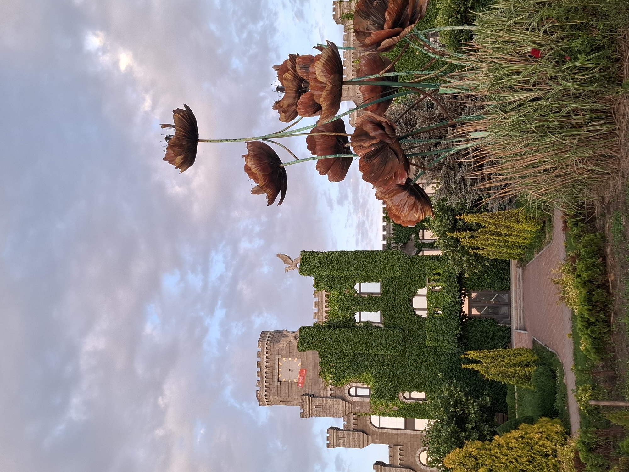 The image captures a surreal, whimsical scene featuring large, metallic, brown poppy-like flowers against a backdrop of a castle-like building covered in dense green ivy. The sky is overcast with soft, diffused light, suggesting either early morning or late afternoon. The castle has a clock tower with a prominent clock face and two eagle sculptures adorning its battlements. The building is constructed from grey stone and features several arched windows. A red banner is visible on the clock tower.
The foreground is dominated by the oversized metallic flowers, which are the most striking element of the image. They are arranged on tall, thin stalks, creating a sense of scale and fantasy. To the right of the flowers, there's a thicket of tall, slender grasses with striped green and white leaves, interspersed with some dry, straw-like stalks. A small patch of vibrant red is visible within this grassy area, possibly a red flower or ornament.
A paved pathway, made of reddish bricks, winds through the meticulously maintained garden. On either side of the path, there are neatly trimmed evergreen bushes and trees, creating a formal garden setting. The overall impression is one of a fantasy garden or a themed attraction, where the natural elements blend with artistic sculptures and architectural features. The soft lighting and muted colors contribute to a tranquil and slightly dreamlike atmosphere. The rotation of the image implies it was taken in portrait orientation.