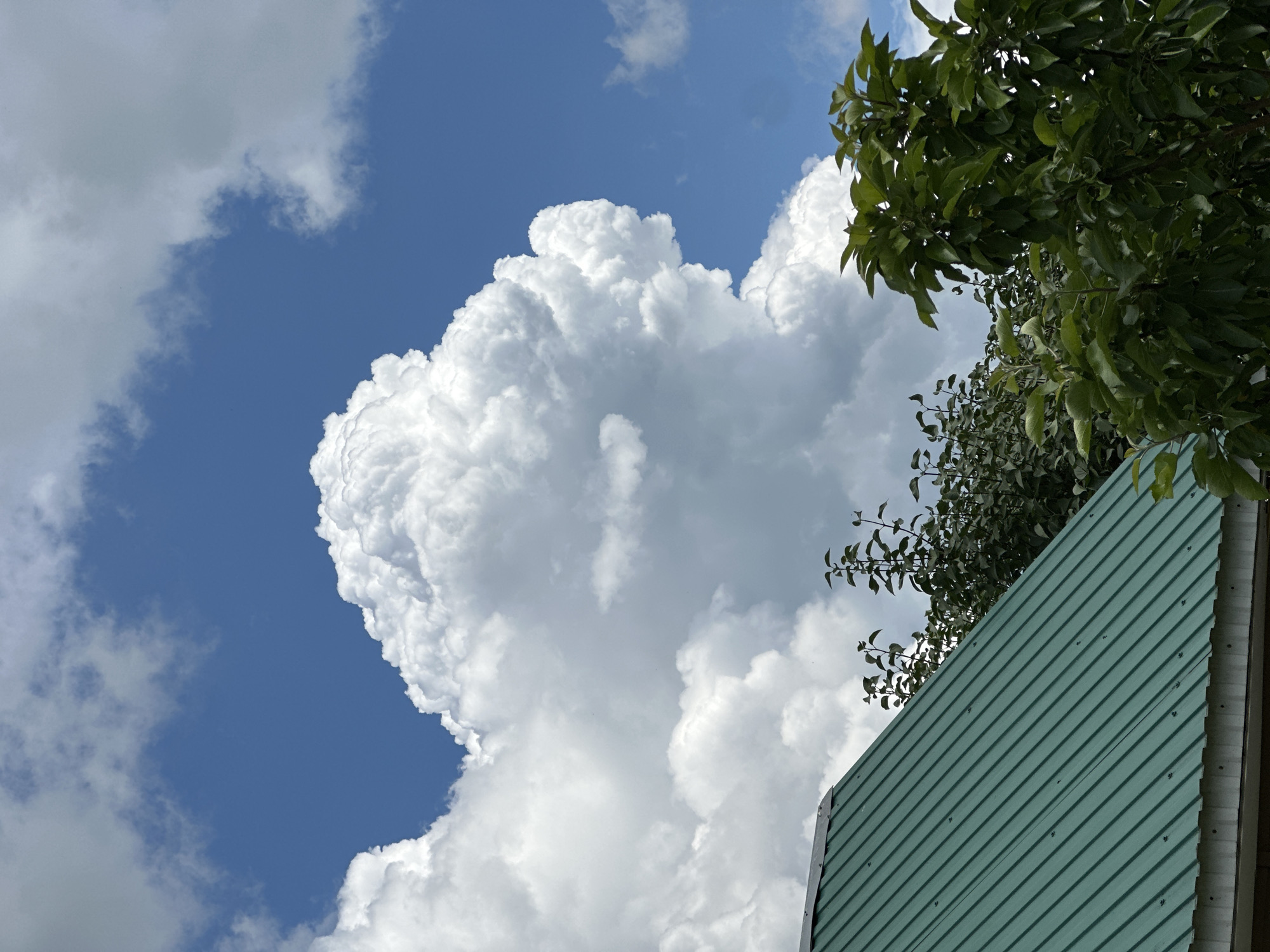 The image shows a green metal roof on the left, angled towards the bottom left corner of the frame. Behind and to the right of the roof are several trees with dense green foliage. Towering in the background is a large, white, cumulonimbus cloud against a bright blue sky. The overall scene is outdoors, under a daytime sky.