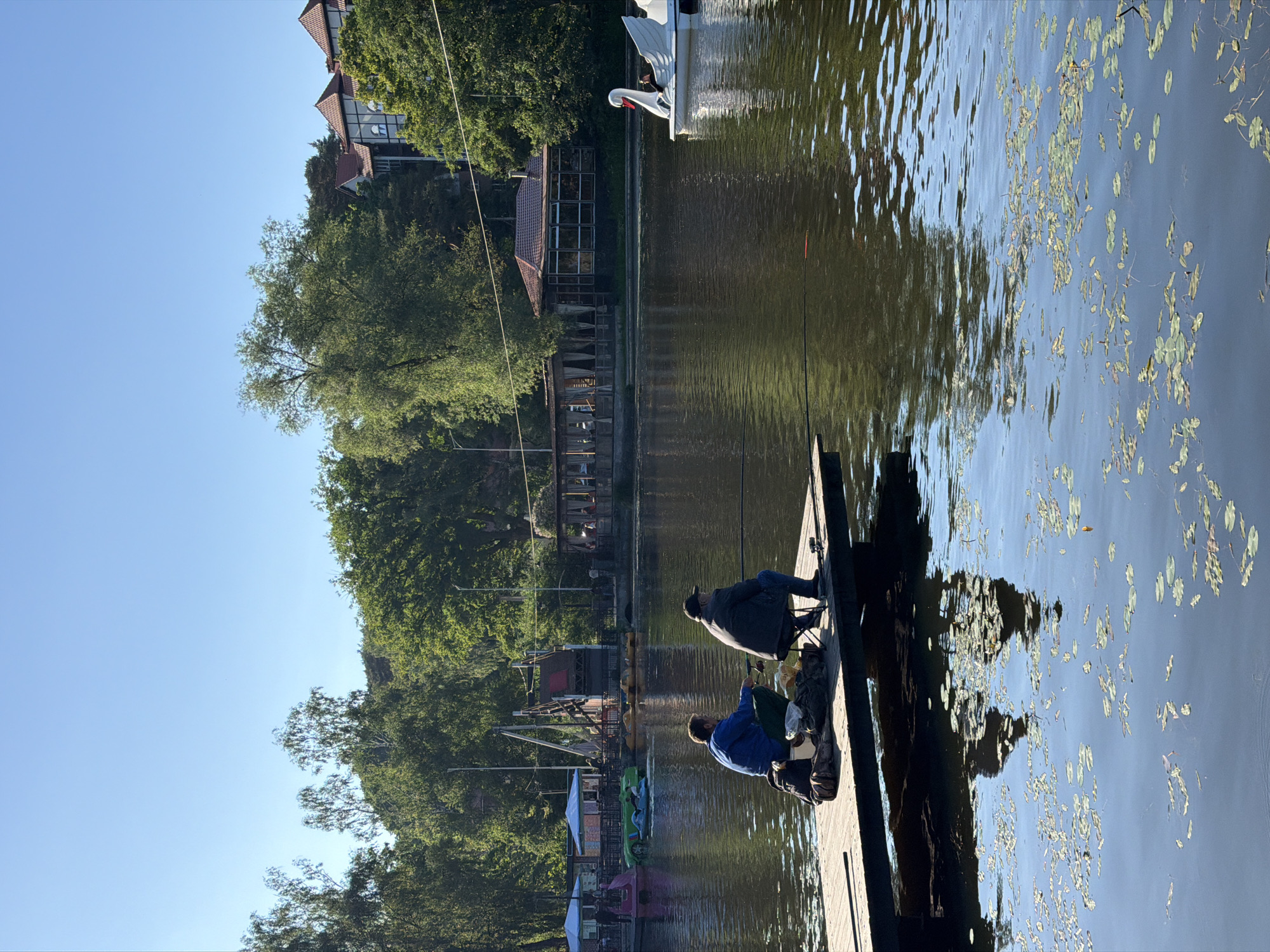 This is a photograph taken on a sunny day at a lake in Svetlogorsk, Russia. In the foreground, two men are sitting on a wooden pier, fishing. One man is wearing a blue jacket and green pants, and the other is wearing a dark jacket and a baseball cap. Both are holding fishing rods. There are bags and buckets on the pier with them.
The lake has calm water with reflections of the trees and the sky. Lily pads are scattered across the surface of the water.
In the midground, across the lake, there is a building with a red tiled roof and large windows, possibly a restaurant or cafe. To the left of this building, there are several colorful pedal boats on the water, including a pink and green one. Further to the left, there are more structures and trees.
In the background, a white swan-shaped pedal boat with a person inside is visible on the right side of the lake. The background is filled with lush green trees, and behind the trees on the right, there are buildings with red roofs. The sky is clear and blue.