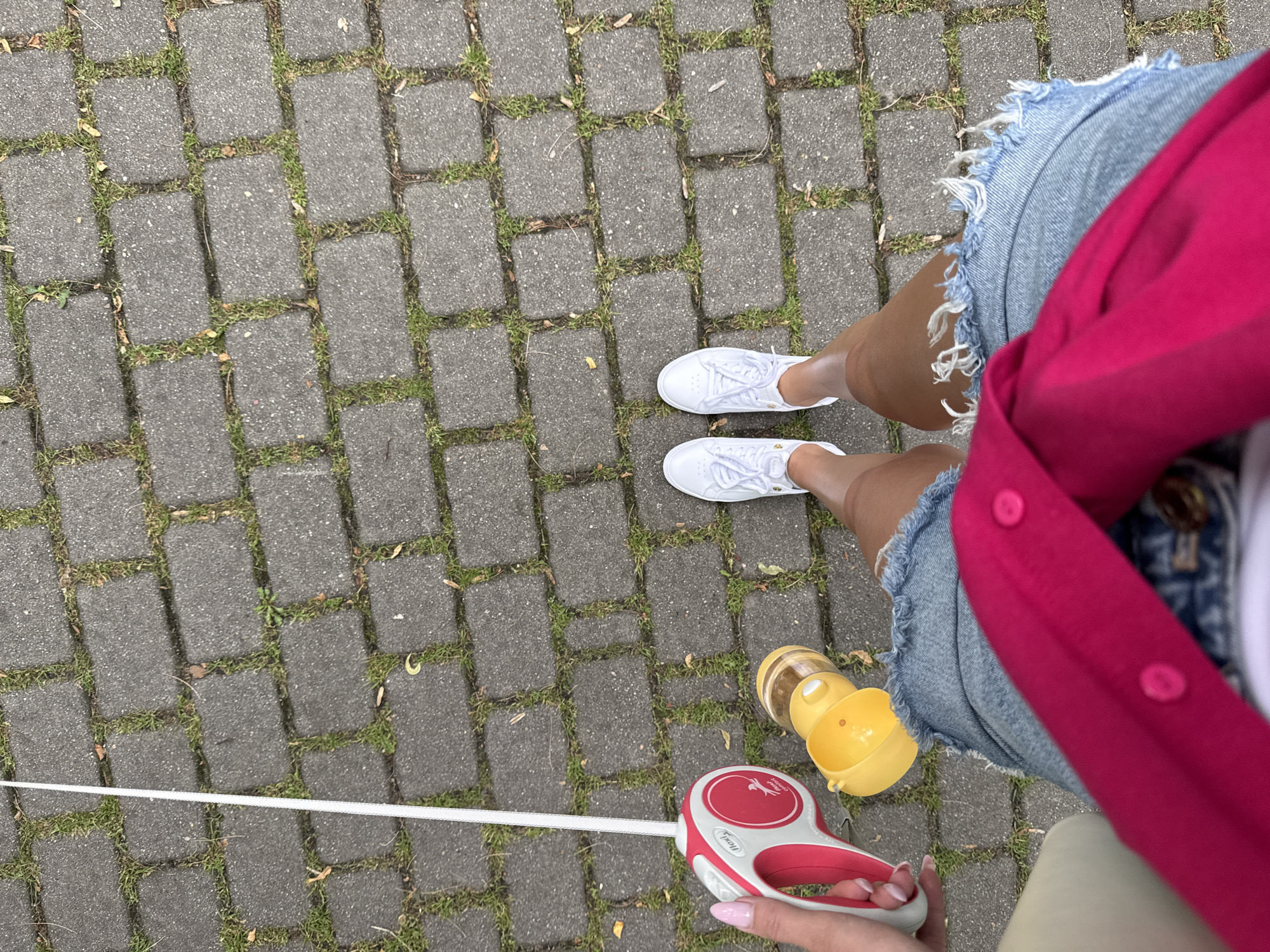 A first-person, high-angle overhead view depicts a person standing on a paved surface. The individual wears white sneakers, blue denim shorts with frayed hems, and a bright magenta garment. In the left hand, a white and red Flexi Classic retractable dog leash is held, alongside a yellow portable dog water bottle featuring an integrated bowl and a clear water reservoir. The ground consists of grey rectangular pavers with green grass and some dry leaves growing in the joints. The scene is located in Unknown, Unknown.