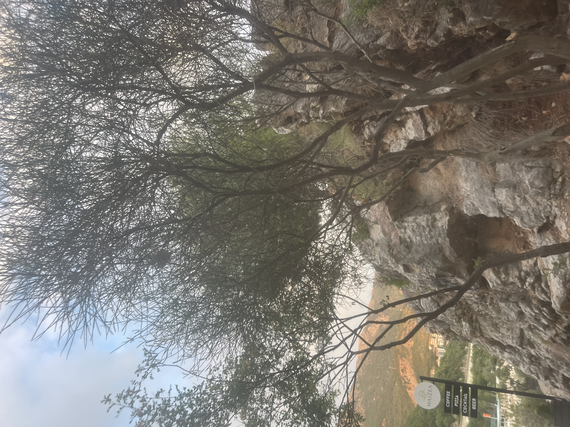The image shows a view of a rocky cliffside covered in sparse vegetation. In the foreground, a dense network of thin branches from a tree obscures much of the view, creating a silhouette against a hazy sky. The branches are bare, suggesting it might be winter or a tree that sheds its leaves.
Behind the branches, the rocky cliff face is visible, with rough, textured stone in shades of gray and brown. Patches of green foliage can be seen growing in crevices and on ledges. In the distance, a coastal town with buildings nestled amongst hills can be seen. The sky is overcast with hints of blue, indicating a cloudy day.
A signpost is partially visible in the lower right corner of the image. The visible text on the sign reads "HAIZEA" and below it, in a list format, "COFFEE", "PIZZA", "COCKTAIL", and "BEER". This suggests the sign is for a establishment offering these items. The overall atmosphere is somewhat muted, likely due to the overcast weather. The time of day appears to be late afternoon or early evening, given the soft lighting and shadows. The location appears to be a natural setting overlooking a populated area, possibly a tourist spot given the sign for food and drinks.
