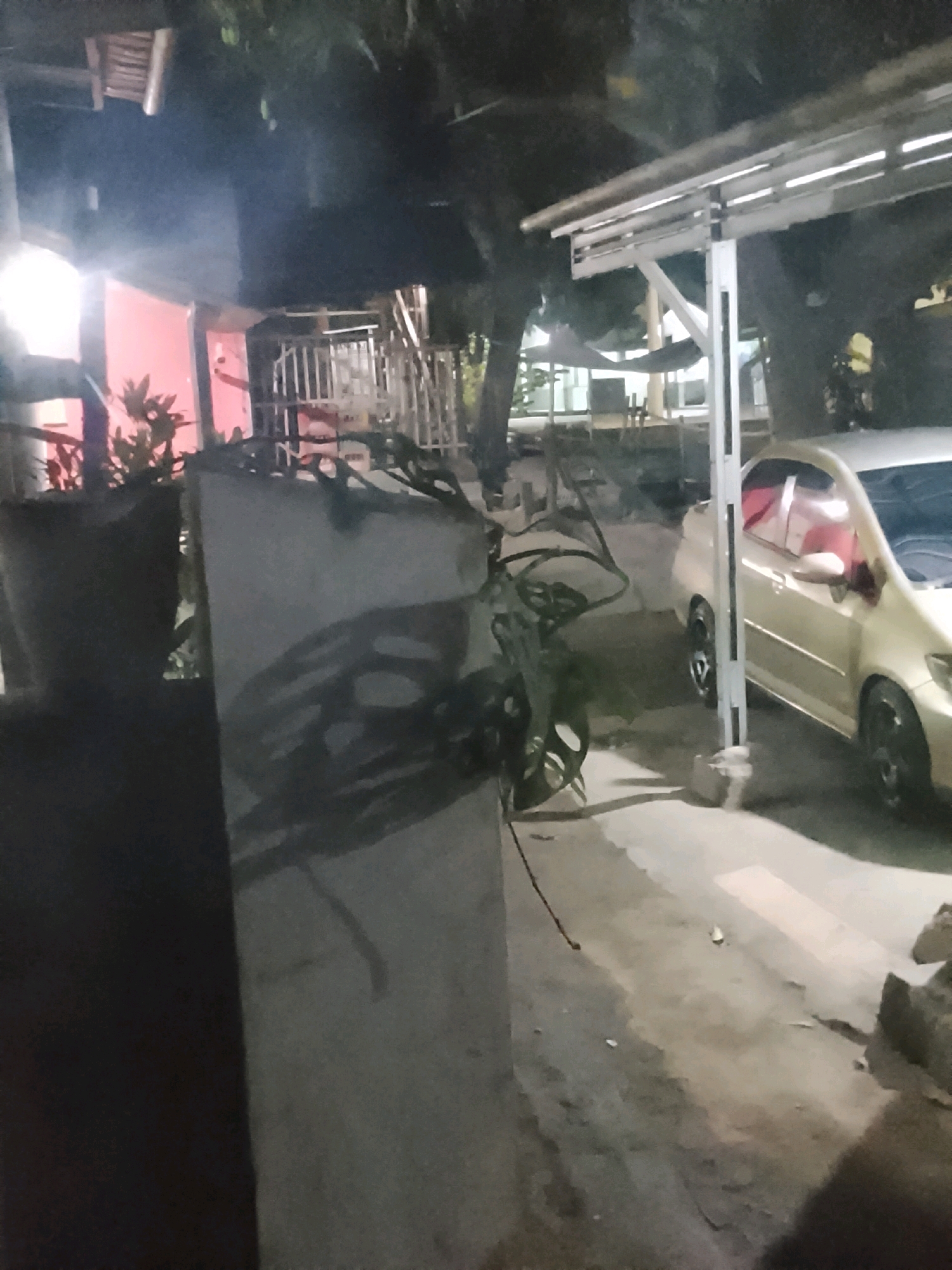 The image depicts an outdoor scene at night, possibly in Ujungrusi, Indonesia. In the foreground, a large, dark planter is visible on the left, containing a plant. Next to it is a concrete structure with a plant whose leaves cast shadows on its surface. To the right, a beige car is parked, with its interior partially visible and a red material inside. The car is positioned on a concrete ground surface. In the background, there are glimpses of a building with a red wall, a white railing structure, and trees. A white metal pole stands in front of the car. The overall lighting suggests nighttime, with artificial lights illuminating parts of the scene.
