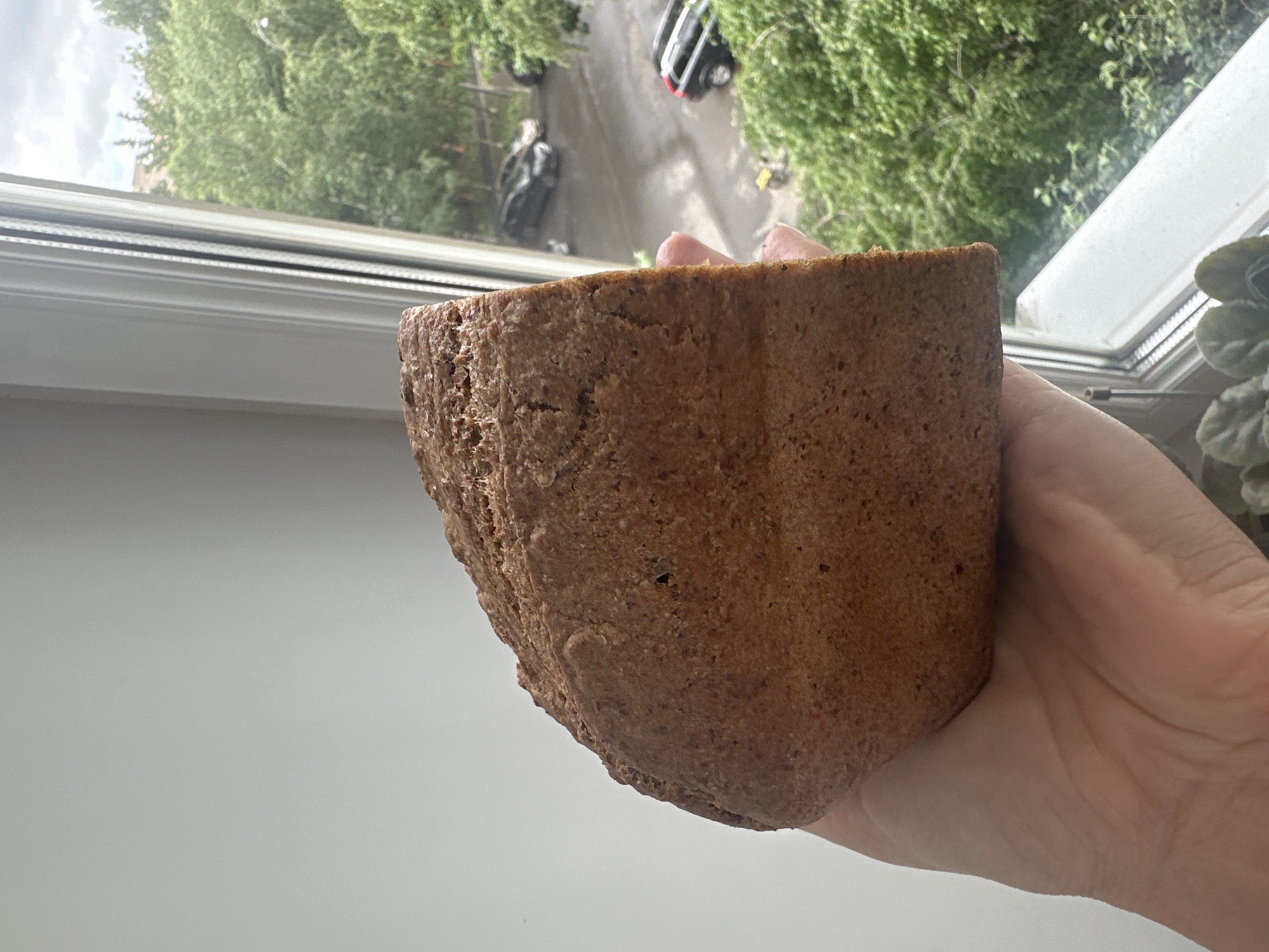 A close-up, outdoor shot shows a person holding a slice of dark bread. The bread is held in front of a window, with a view of a street with cars and trees in the background. The scene appears to be in a residential area, possibly in Khimki, Russia, given the presence of lush green trees and typical apartment buildings visible through the window. The lighting suggests it's daytime, possibly overcast.