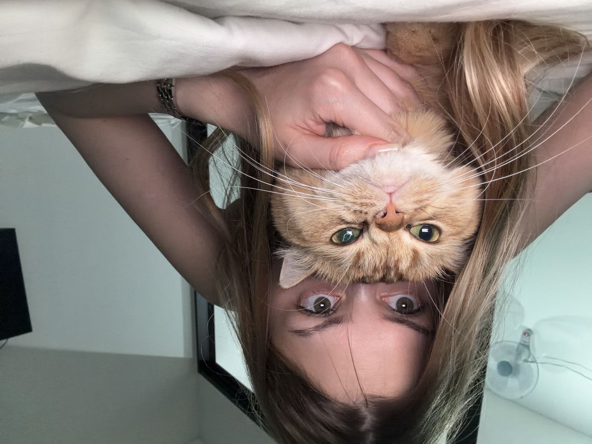 A woman with shoulder-length blonde hair is holding a ginger cat with green eyes upside down. Her face is positioned below the cat's. She is looking upwards at the cat with wide eyes. A white blanket is behind her hand, which is holding the cat's cheek. A black television is visible on the left edge of the image. A fan is visible in the background. The location is an interior, not identified as Đà Nẵng, Vietnam.