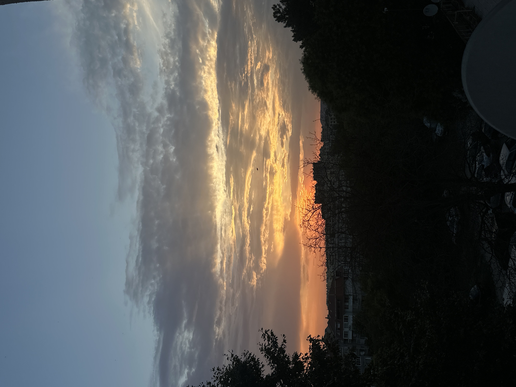 The image depicts a sunset over the city of Varna, Bulgaria. Silhouetted trees and buildings dominate the foreground and midground, with a hazy expanse of sky overhead. The sky is a gradient of colors, transitioning from a deep orange and yellow near the horizon, where the sun is setting, to lighter shades of orange, pink, and blue higher up. Wispy clouds are scattered across the sky, catching the last rays of sunlight. In the distance, faint outlines of apartment buildings are visible, interspersed with darker masses of trees. A few small birds are visible in the sky, adding a touch of life to the scene. The overall impression is one of a peaceful, urban twilight.