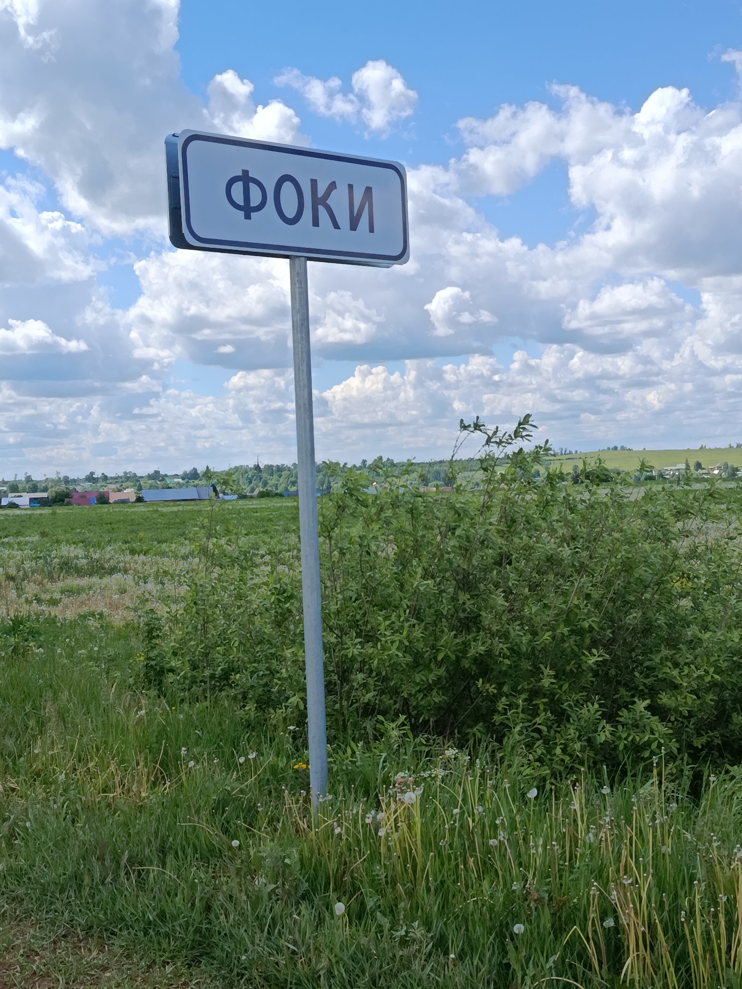The image depicts a signpost with the name "ФОКИ" in Cyrillic script. The sign is light gray with dark gray lettering and borders, mounted on a silver metal pole. It stands in a field of tall green grass and various flowering plants. Behind the sign is a dense bush, and in the background, a rural landscape with fields, trees, and a few scattered buildings under a cloudy blue sky. The sign indicates the location of Фоки in Russia.