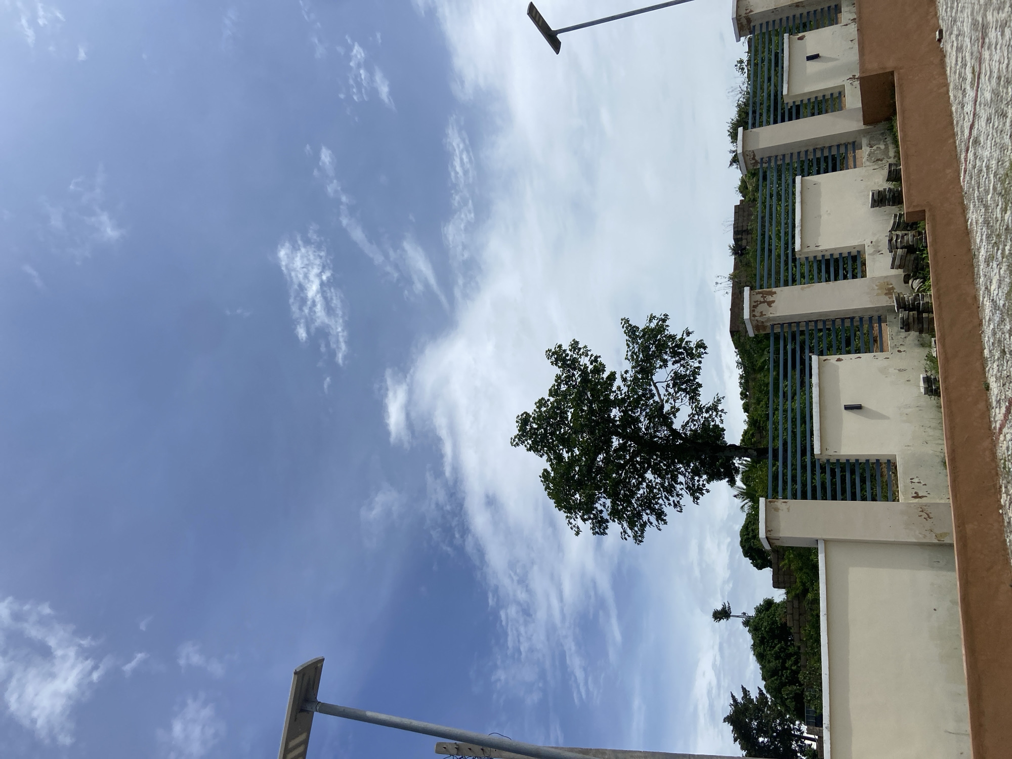 The image captures an outdoor scene, likely in Jos, Nigeria, under a bright, partly cloudy sky. The primary subjects include a lone tree with dense green foliage, silhouetted against the sky, and a building with a light-colored facade and dark blue horizontal fencing. The building appears to be multi-leveled, with some sections showing signs of wear.
The scene is oriented sideways in the frame, suggesting the photo was taken with the camera held vertically or was rotated post-capture. Two streetlights with a modern, flat design are visible, one towards the top left and another at the bottom left of the frame, indicating an urban or suburban setting.
The weather appears to be clear and sunny, with wispy white clouds scattered across a blue sky. The time of day is difficult to ascertain precisely, but the brightness suggests it is daytime, likely mid-morning or afternoon. There are no people visible in the image, and no specific activity is depicted. The overall impression is one of a serene, everyday scene, possibly in a residential or public area. No text is visible in the image.