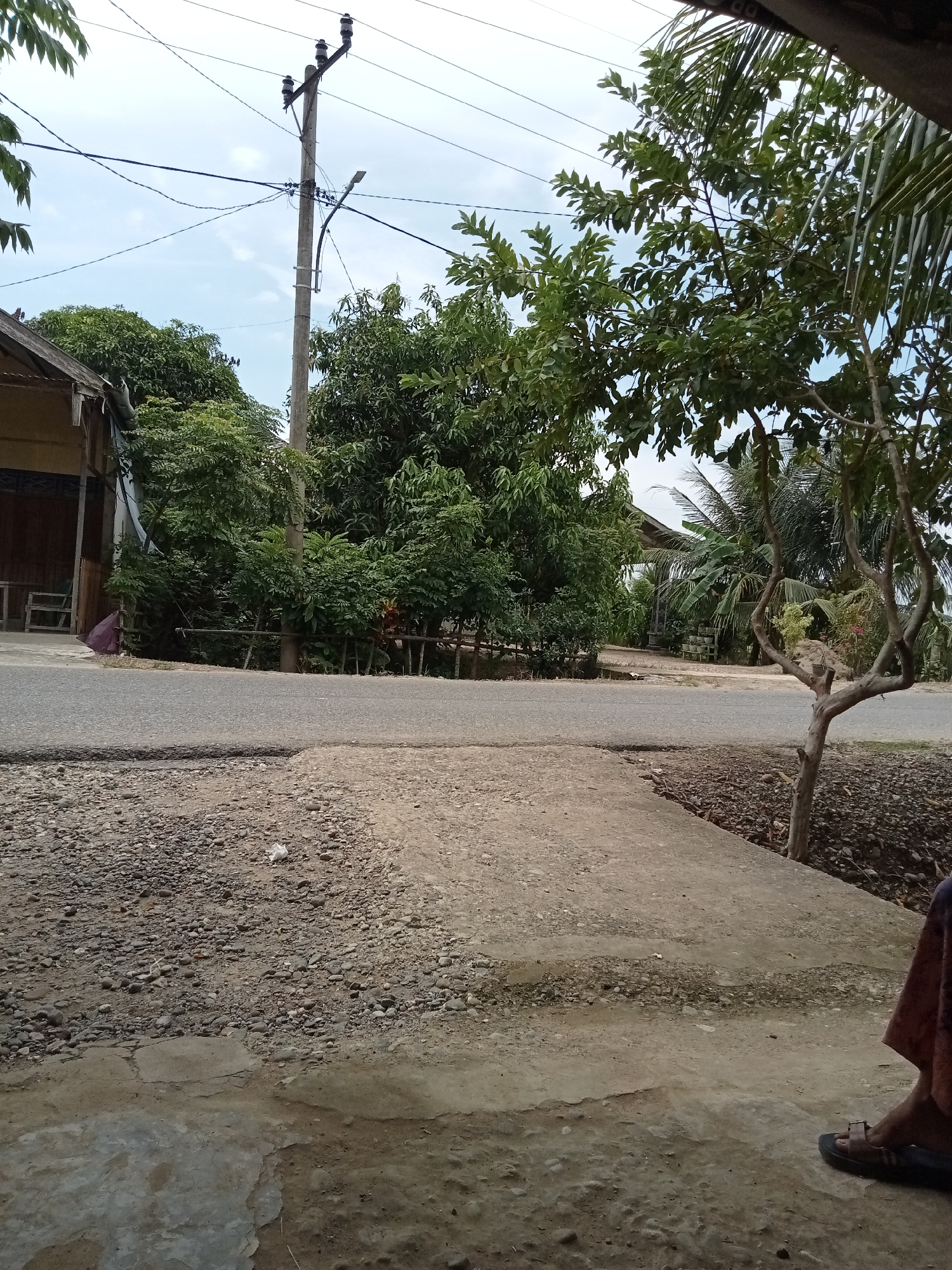 The image captures a street scene in Matangsijuek Timur, Indonesia, with a focus on the foreground and midground. In the foreground, a rough concrete surface transitions to a gravelly area. To the right, a person's legs and feet are visible, wearing sandals and a draped piece of patterned fabric. A small, leafless tree with a twisted trunk stands in the midground to the right.
The midground also shows a paved road, which curves slightly. Along the roadside, a wooden fence or barrier is present, partially obscured by vegetation. Beyond the road and fence, lush green trees and foliage dominate the scene, creating a dense natural backdrop. A utility pole with electrical wires is a prominent vertical element in the left midground.
To the left of the utility pole, a small building with a sloping roof and wooden siding is visible, suggesting a residential or small commercial structure. The background consists of a cloudy sky. The overall impression is of a rural or semi-rural street in a tropical or subtropical environment.