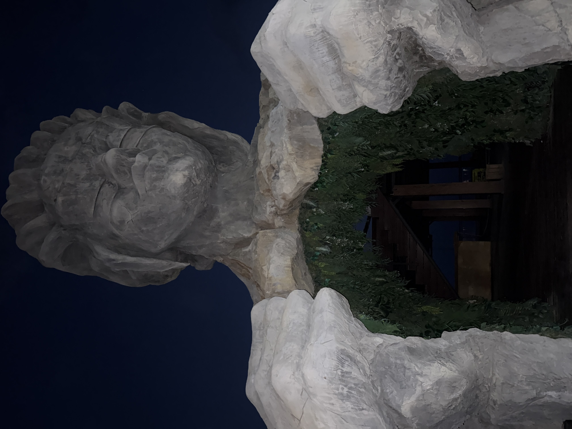 A low-angle, medium shot captures a large, grey, stone statue resembling a human head with closed eyes, positioned against a dark blue night sky. The statue appears to be part of a larger structure, with its stone arms or rock formations framing an arched opening. Lush, dark green artificial foliage cascades down from the top of the archway. Through the opening, a wooden staircase is visible, leading upwards and to the right, partially illuminated by an unseen light source. The ground beneath the archway appears to be a dark wooden platform. The scene suggests an outdoor installation or attraction, possibly a landmark or decorative element in a park or entertainment venue. The location is specified as Yalta, Ukraine.