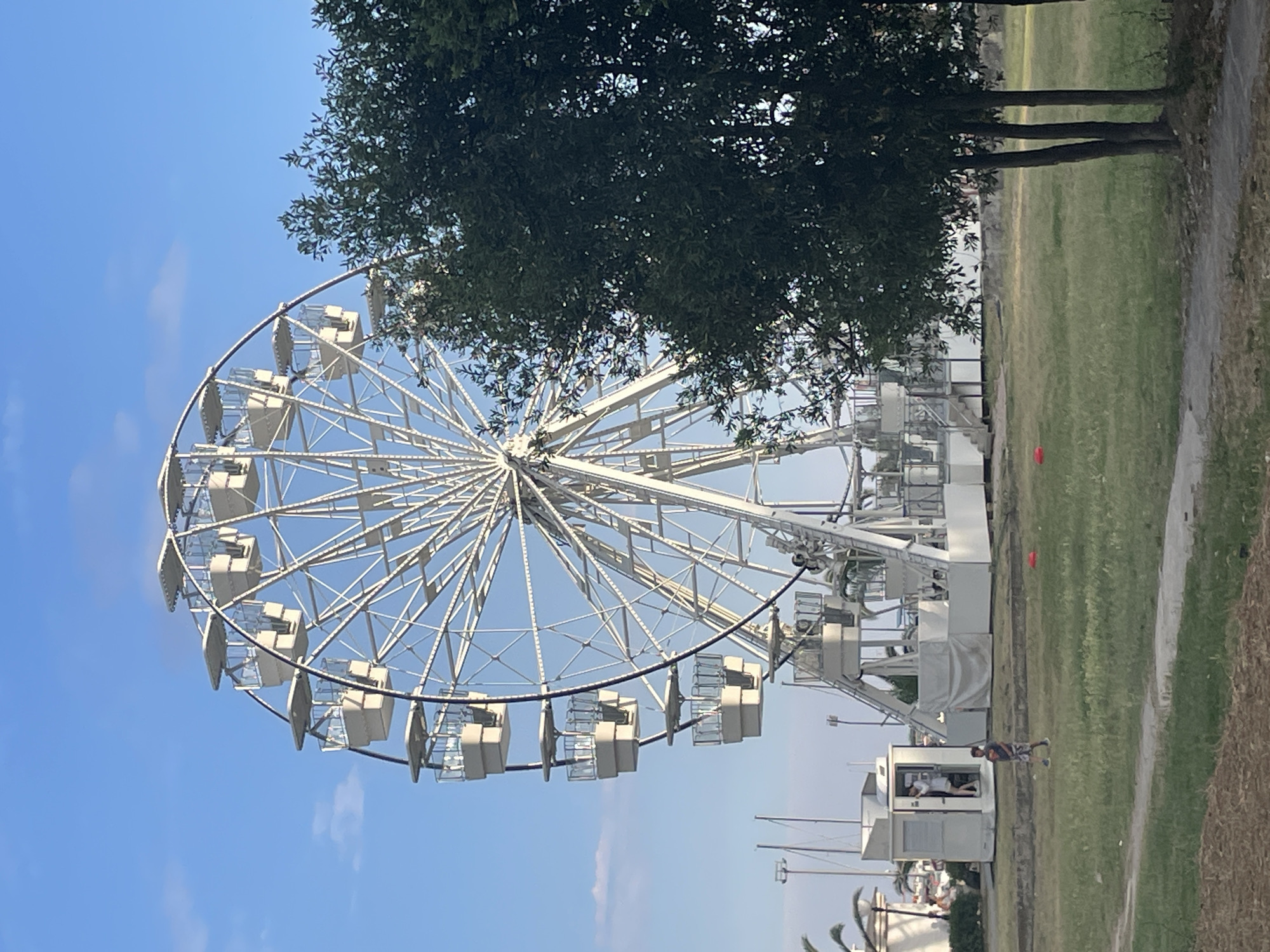 The image shows a Ferris wheel in an outdoor setting, likely a park or amusement area. A large tree with dark green foliage is prominently featured in the foreground, partially obscuring the Ferris wheel. The Ferris wheel is white and appears to be operational, with several enclosed cabins visible. In the background, there is a grassy area with a path, and beyond that, a body of water can be inferred from the presence of boats and structures typically found near a marina or waterfront. The sky is blue with some wispy clouds, suggesting daytime. There are a few people visible in the lower right quadrant of the image, one person walking on the grass and another near a small booth or building. The overall impression is a sunny day at a leisure location. Specific location cues suggest Budva, Montenegro, which is known for its coastal attractions. There is no visible text in the image.