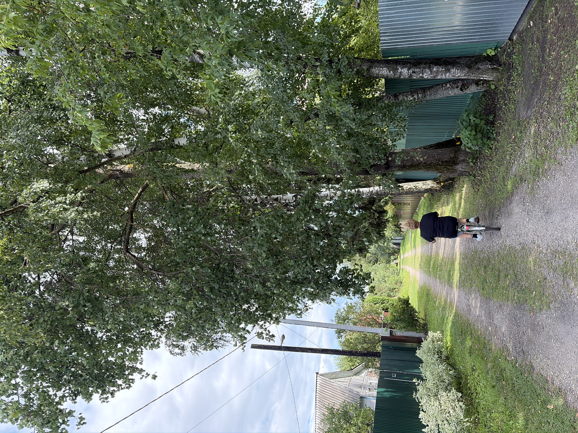 A person rides a bicycle down a gravel path lined with trees on both sides. On the left side of the path, there is a green metal fence, a white and green bush, and a house with a gray roof. On the right side, there is a green metal fence and more trees. In the distance, the path continues between the trees and fences. The sky is cloudy. The location is identified as Nerudnik SNT, Russia.