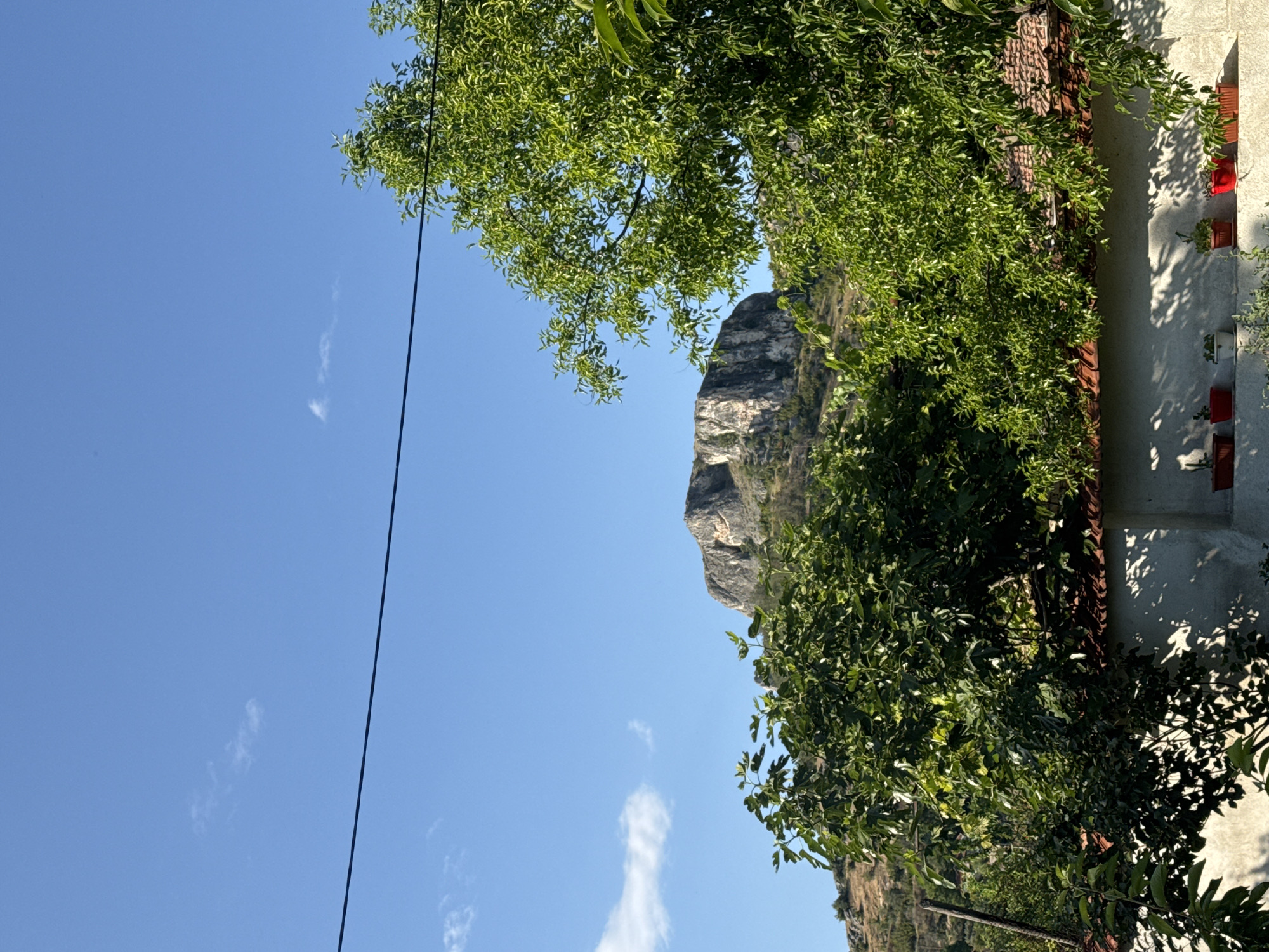 This full-frame vertical image captures a sunlit rural or semi-rural scene in Ilindentsi, Bulgaria, featuring a prominent rocky mountain, abundant green foliage, and part of a building structure.
The upper half of the image is dominated by a clear, bright blue sky with a few wispy, scattered white clouds, primarily in the upper left quadrant. A single, thin black overhead cable stretches horizontally across the sky from the left to the right, positioned slightly below the vertical center of the frame.
In the middle ground, a large, distinctive mountain rises, displaying steep, light-colored rock cliffs that appear to be primarily limestone. The mountain slopes below the cliffs are covered with sparse green vegetation and exposed earth.
The foreground and mid-ground are densely populated with vibrant green trees and shrubs. In the immediate foreground, a large, dark green leafy tree, possibly a fig tree, obscures the lower portion of the mountain and extends across the bottom left and center. To the right, another tree with lighter green, smaller leaves extends into the upper right corner.
At the bottom of the image, the upper section of a light-colored, possibly white or off-white, stucco wall of a building is visible. A tiled roof, composed of orange-red clay tiles, is partially discernible above the wall, peeking through the foliage. A narrow ledge on top of the wall holds several potted plants; at least five pots are visible, mostly reddish-brown terracotta with one white pot, containing small green foliage. Distinct shadows from the overhead trees and foliage are cast onto the building wall, indicating strong sunlight from the upper left. No people or animals are present in the scene.