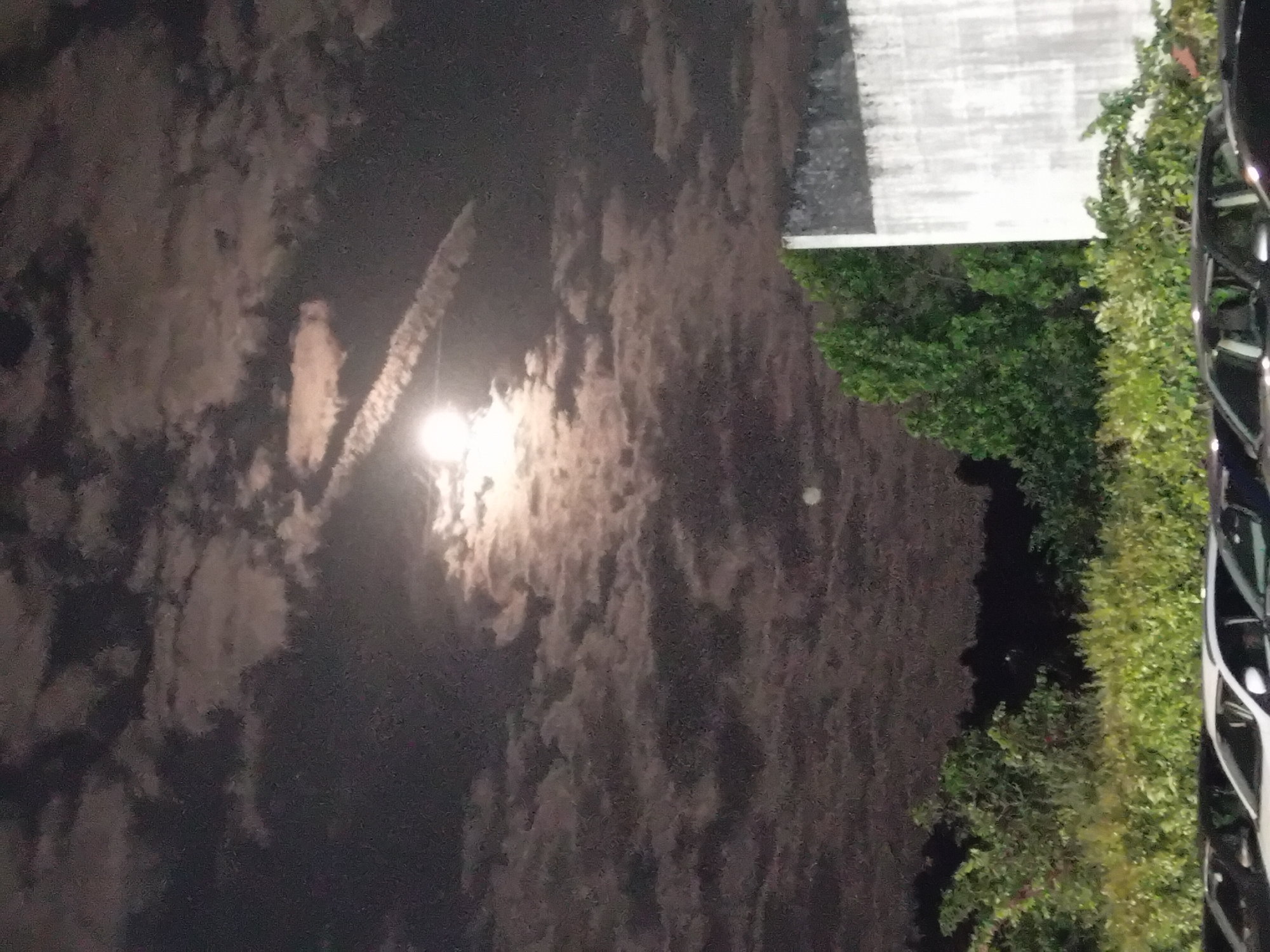 The image depicts a nighttime outdoor scene, best viewed by rotating it 90 degrees counter-clockwise. The dark sky is largely covered by dense, textured clouds, which are brightly illuminated by a strong, diffused light source, likely the moon, positioned towards the upper left. A faint, smaller circular light is also visible further to the right within the clouds. An elongated, textured object, possibly a palm tree trunk, extends upwards from the left, partially silhouetted against the bright light.
Below the sky, a substantial section of vibrant green foliage, appearing as bushes and trees, occupies the mid-ground. To the left of the foliage is a light-colored, possibly white or grey, building facade or wall. On the far right edge of the frame, a portion of a dark vehicle, identifiable by its shiny wheels and side bodywork, is visible. No specific activity is taking place, and there is no visible text. The overall atmosphere is calm and serene, characteristic of a cloudy night in what appears to be an urban or suburban setting.