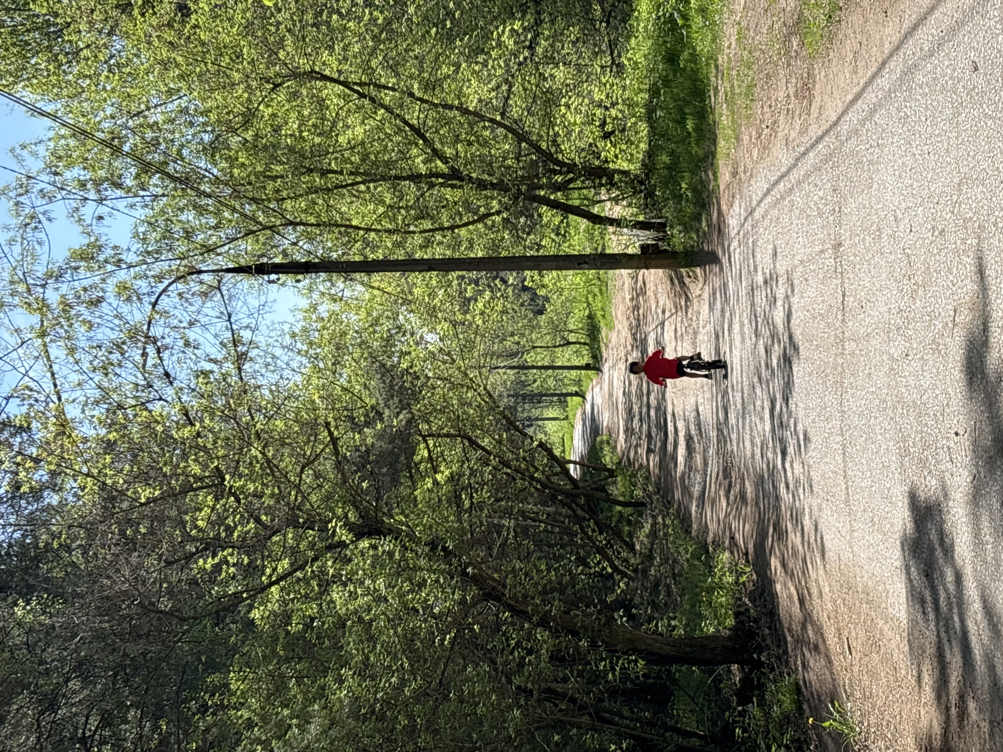 A person wearing a red shirt is riding a bicycle on a paved road. The road is lined with trees on both sides, casting shadows on the pavement. Overhead power lines and poles are visible. The location is likely Chaikovsky, Russia, but this cannot be forensically verified from this image alone.