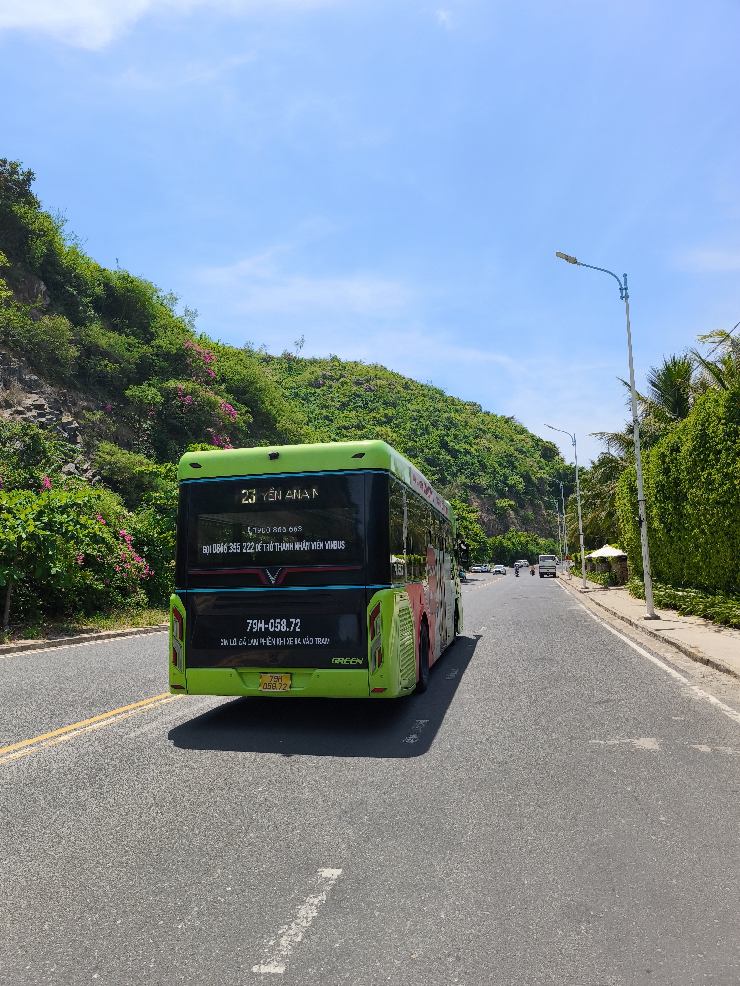 The image depicts a bright, sunny day on a coastal road, likely in or around Nha Trang, Vietnam, given the presence of a green VinBus with Vietnamese license plates and text. A large, green VinBus is the central subject, seen from the rear-left perspective as it travels along a paved road. The bus displays its route number "23 YEN ANA N" and a phone number "1900 866 663" along with additional Vietnamese text. The license plate reads "79H-058.72".
The environment is characterized by lush green hills covered in dense vegetation and flowering shrubs on the left side of the road. The right side of the road features a well-maintained sidewalk, lined with palm trees and a high, dense green hedge. A lamppost is visible on the right side of the road, as well as other vehicles, including cars and motorcycles, in the distance, suggesting moderate traffic. The sky is a clear, vibrant blue with a few wispy clouds. The road itself is asphalt, marked with yellow and white lines. A yellow license plate with "79H 058.72" is affixed to the lower rear of the bus. The overall impression is one of a scenic and well-trafficked road in a tropical or subtropical coastal area.