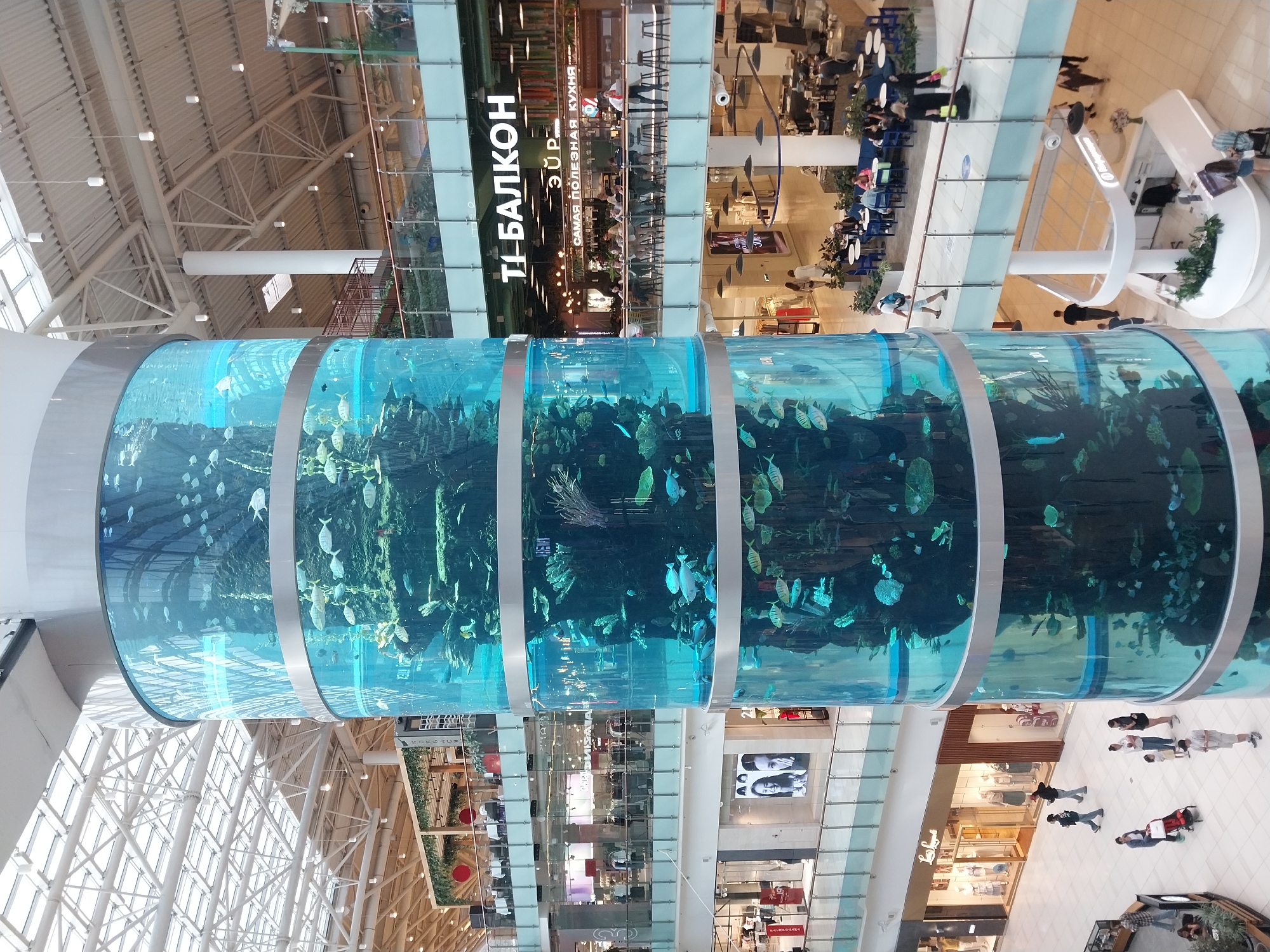 An indoor, multi-level shopping mall features a massive, cylindrical aquarium that serves as a central decorative element. The aquarium is divided into several horizontal sections, each filled with clear blue water, various aquatic plants, rocks, and a multitude of fish swimming within. The mall's interior is visible around the aquarium, showcasing shops with mannequins in display windows, escalators, walkways with glass railings, and seating areas with tables and chairs. People are seen walking on the different levels, browsing shops, and dining. The ceiling of the mall is a complex structure of metal beams and glass, allowing natural light to filter in. The overall impression is a bright, modern, and spacious commercial environment with a striking aquatic feature.