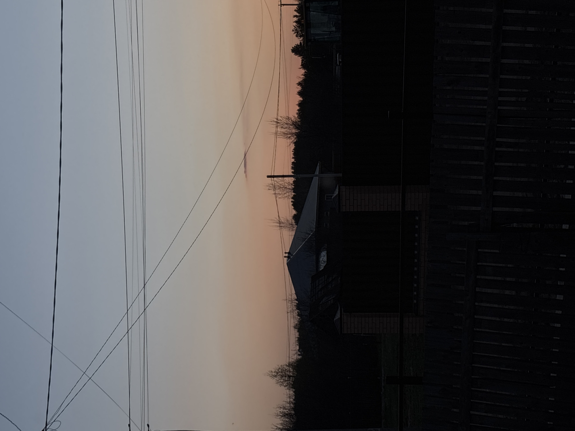 The image depicts a dusk or twilight scene in Prikamskii, Russia. In the background, a muted sky is visible, with a color gradient transitioning from light blue on the left to orange on the right. Several utility poles with intersecting power lines stretch across the left side of the frame.
In the middle ground, the silhouette of a building with a pitched roof is distinguishable, bordered by dark trees and foliage. To the right of the building, a portion of a wooden fence is visible, also silhouetted against the dusk.
The overall scene is somber due to the lack of light, with most elements appearing as dark outlines. The dominant features are the artificial constructs (power lines, building, fence) intersecting with the natural elements (trees, sky). No people or animals are visible.