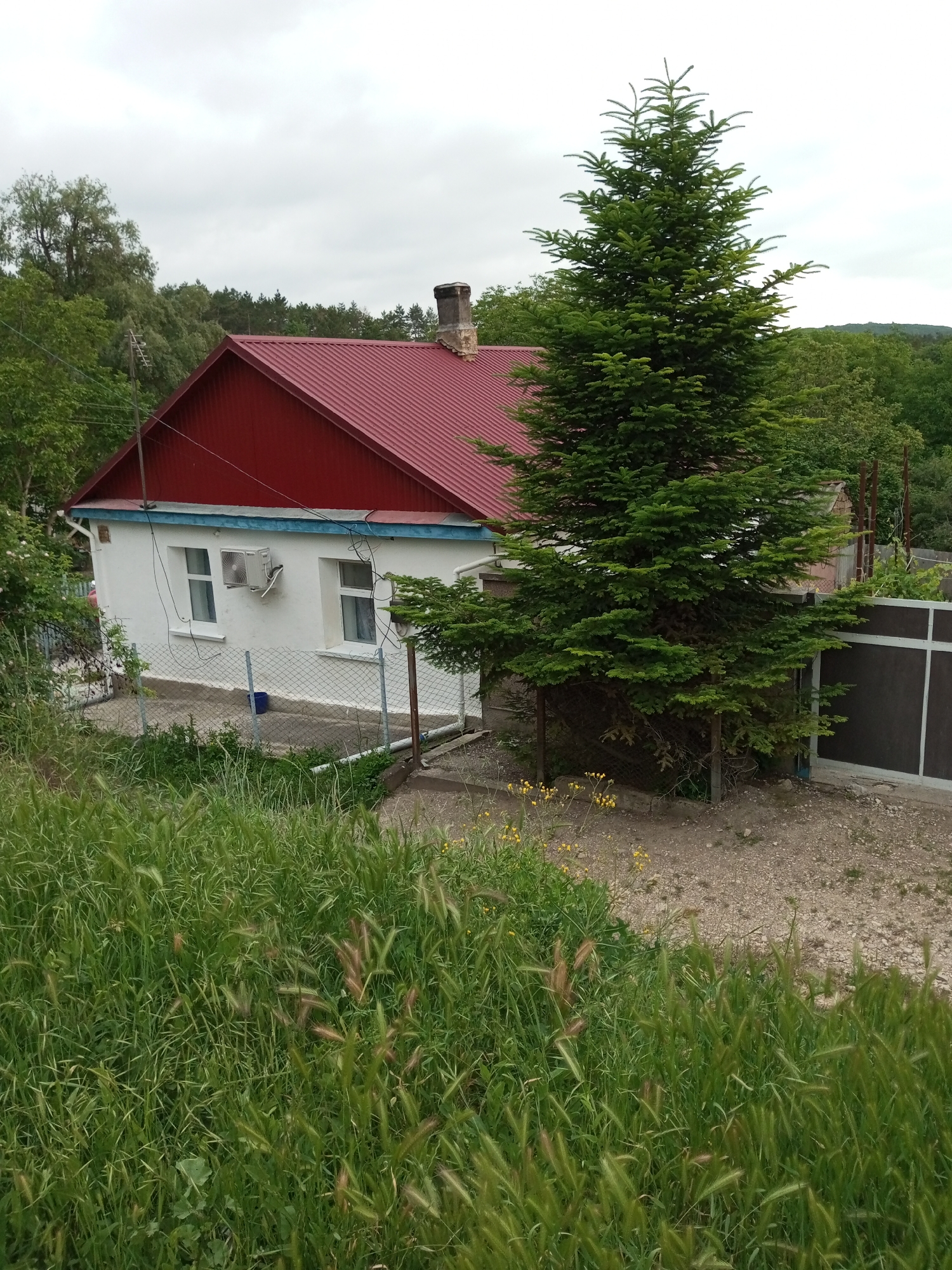 A white house with a red metal roof is situated in a semi-rural area, possibly on the outskirts of Ароматновское сельское поселение, Ukraine. The house has two visible windows and an air conditioning unit mounted on the exterior wall. A tall evergreen tree stands in front of the house, partially obscuring it. A chain-link fence separates the property from the foreground, which is covered in tall green grass and some small yellow flowers. In the background, a densely wooded hillside is visible under an overcast sky. The scene appears to be a residential property, likely a private home, with a focus on the natural landscape surrounding it.
