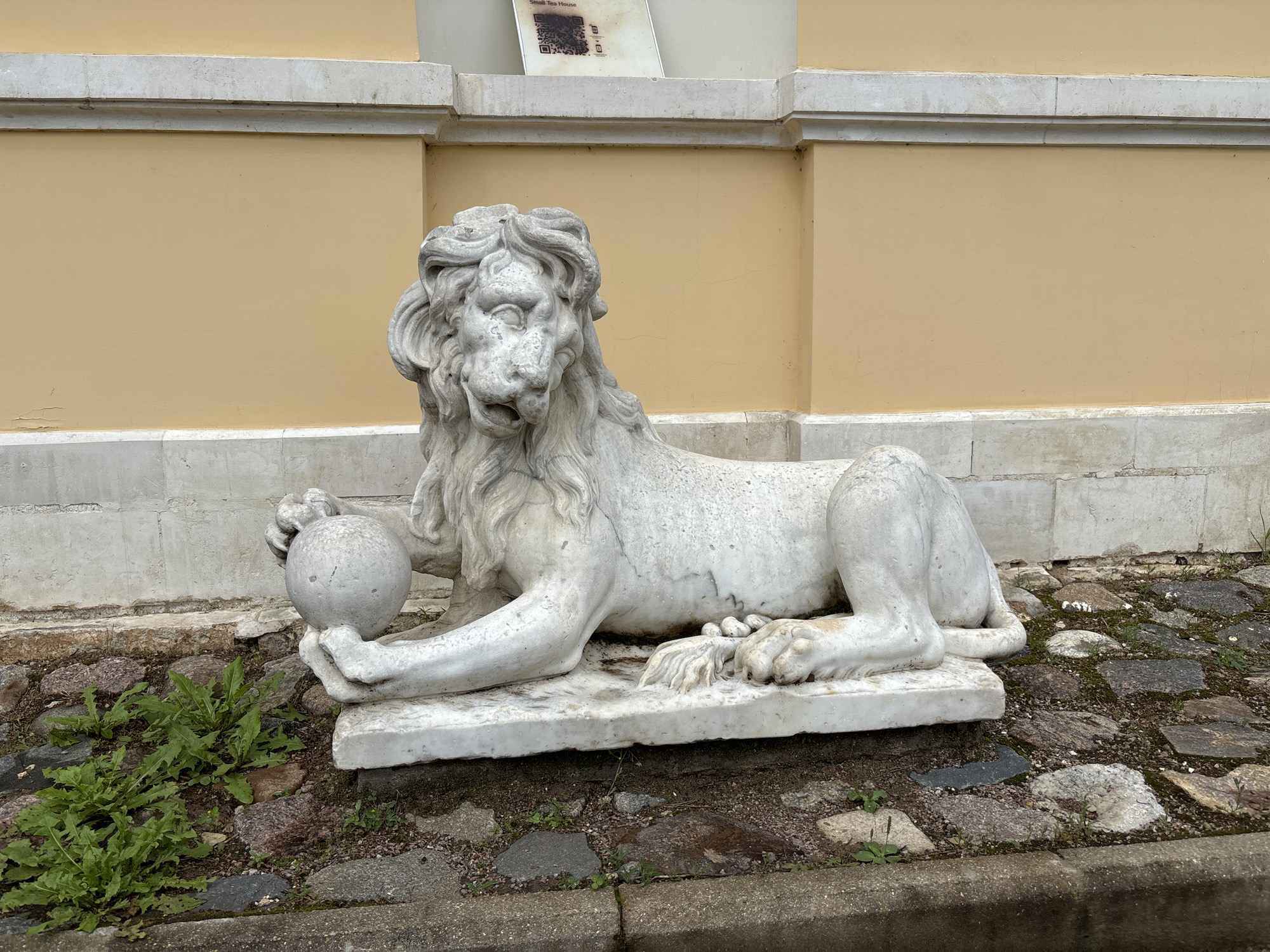 The image shows a white marble sculpture of a reclining lion in front of a building with a yellow wall and a white cornice. The lion is lying on its side, with its head turned to the left and its mouth slightly open. Its front paws are resting on a large sphere, and its hind legs are tucked beneath its body. The sculpture is weathered and shows signs of age, with some discoloration and minor damage. The ground in front of the sculpture is covered with cobblestones and patches of green vegetation. The building behind the sculpture has a sign on the upper part of the wall with some text and a QR code, which appears to be for the "Small Tea House." The scene is located in the city of Arkhangel'skoe, Russia, likely within the grounds of the Arkhangelskoye Estate Museum.