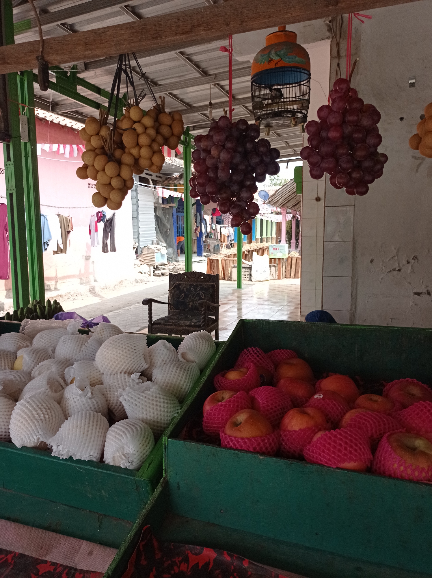 The image depicts a fruit stand in what appears to be an outdoor market setting in Kramat, Indonesia. The foreground is dominated by two green crates filled with fruit. The left crate contains numerous white, rounded fruits, each individually wrapped in white protective netting. The right crate holds several red and orange fruits, also individually wrapped in pink protective netting, resembling apples.
Above the crates, several bunches of fruit hang from the overhead structure. On the left, a cluster of light brown, oval-shaped fruits, possibly longans, are suspended. To the right of these, a decorative birdcage hangs, containing a small bird. Next to the birdcage, two large bunches of dark red grapes are displayed. Further to the right, another bunch of light brown, oval-shaped fruits is visible.
The background reveals a market street scene. Clothes are hanging on a line to the left, and stalls with various goods can be seen in the distance. A dark upholstered chair with ornate carvings is placed in the middle ground, between the fruit displays and the market area. The overall environment suggests a bustling, open-air marketplace. The scene is well-lit by natural sunlight.