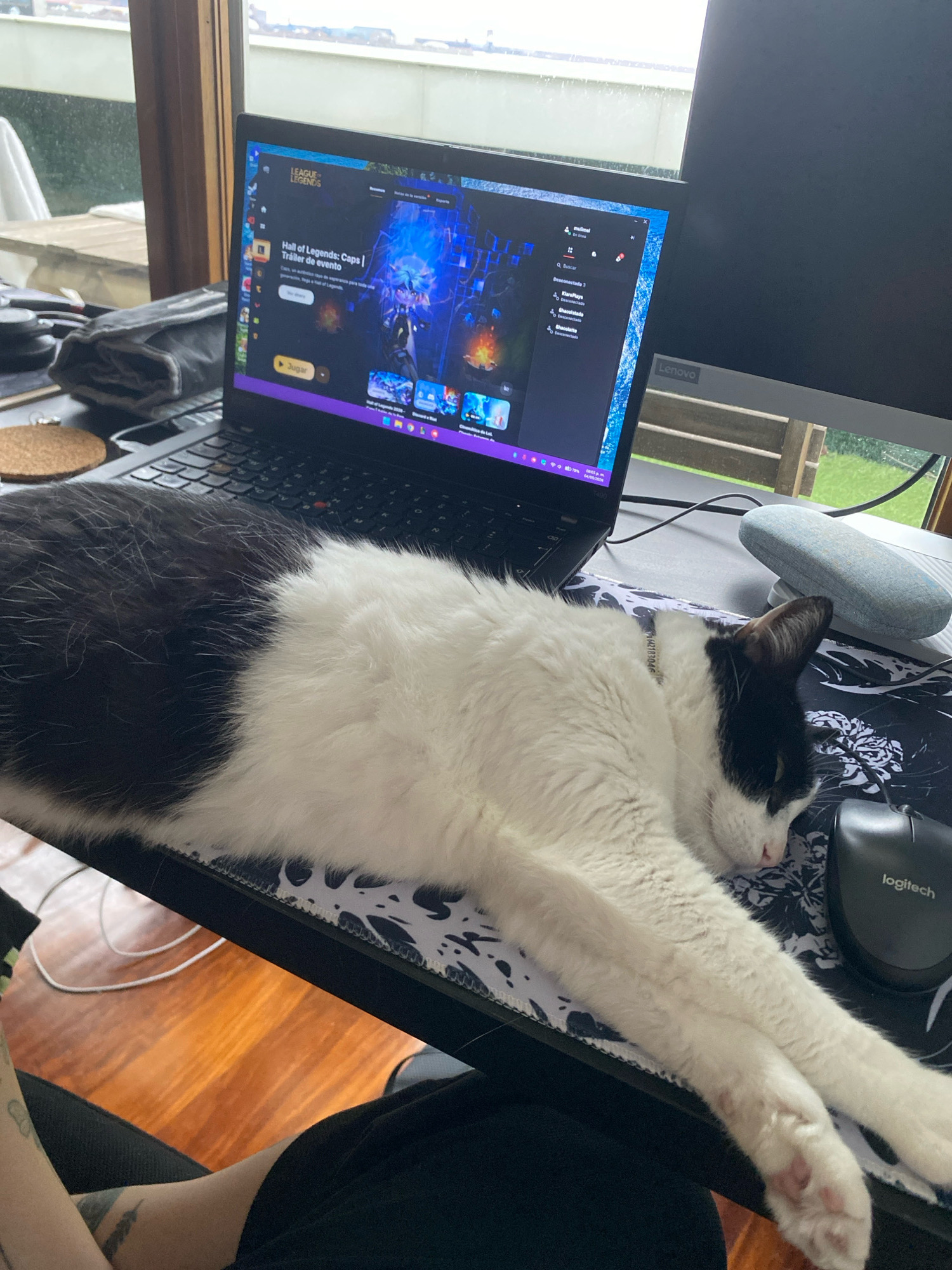 A black and white cat is sleeping on a desk in front of a laptop. The laptop screen displays a League of Legends trailer. A computer mouse and a pair of glasses are also on the desk. In the background, a window overlooks a city with buildings and a cloudy sky. The desk appears to be in an indoor setting, possibly a home office, with a wooden floor visible underneath. The laptop is open and turned on, and the cat is lying on its side, its head resting on the mousepad. The overall scene suggests a relaxed and informal environment. The location is the city of Gijón/Xixón, Spain.