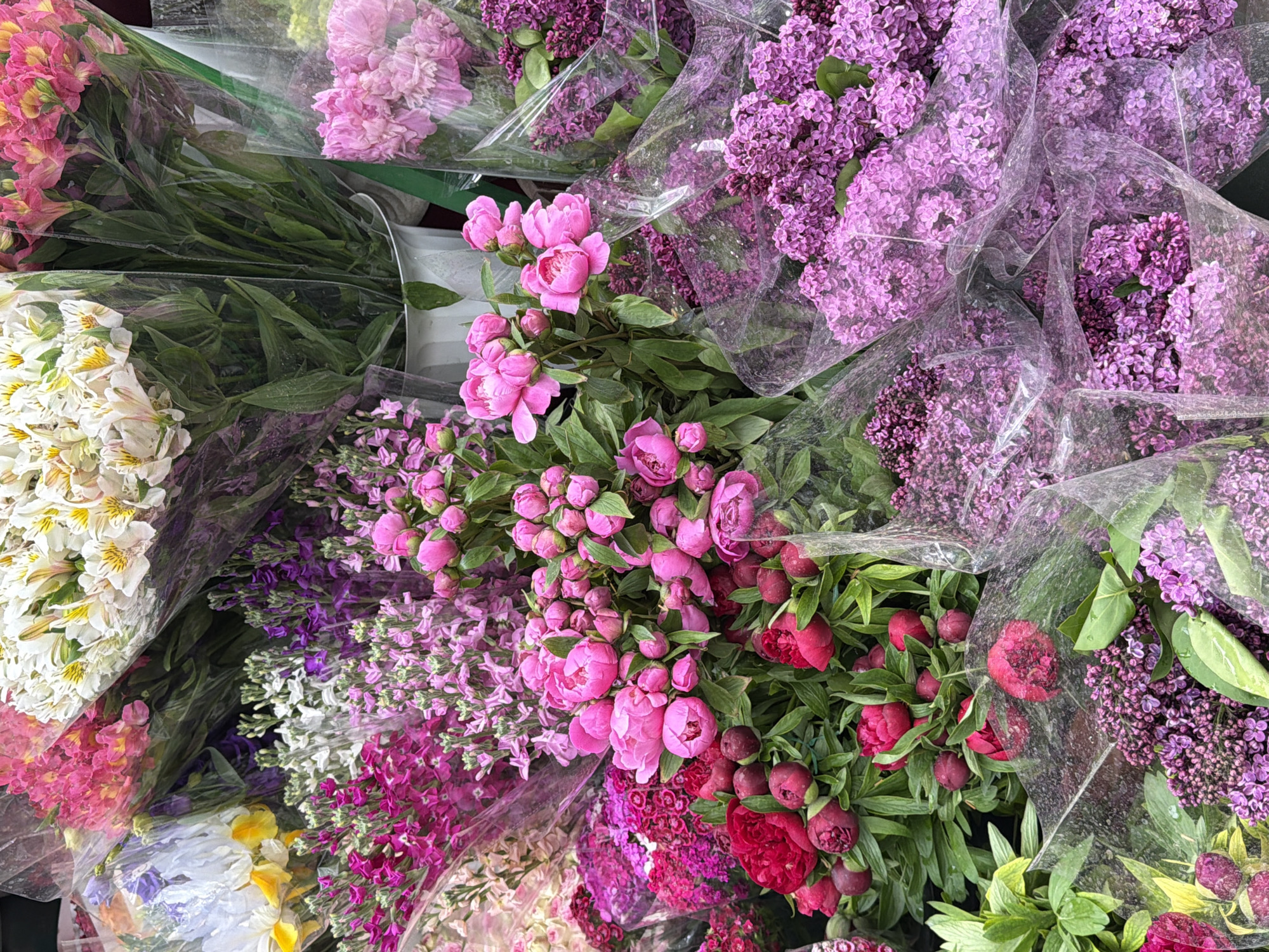 An overhead shot shows a vibrant display of various cut flowers, possibly for sale, likely located in a market or florist shop. The flowers are densely arranged and mostly wrapped in clear plastic.
Types of flowers visible include:
* Pink peonies
* Red peonies
* Purple lilacs
* White and yellow alstroemeria
* Various purple and pink stock flowers (matthiola)
The scene lacks any explicit indication of Yerevan, Armenia, and there are no identifiable people.