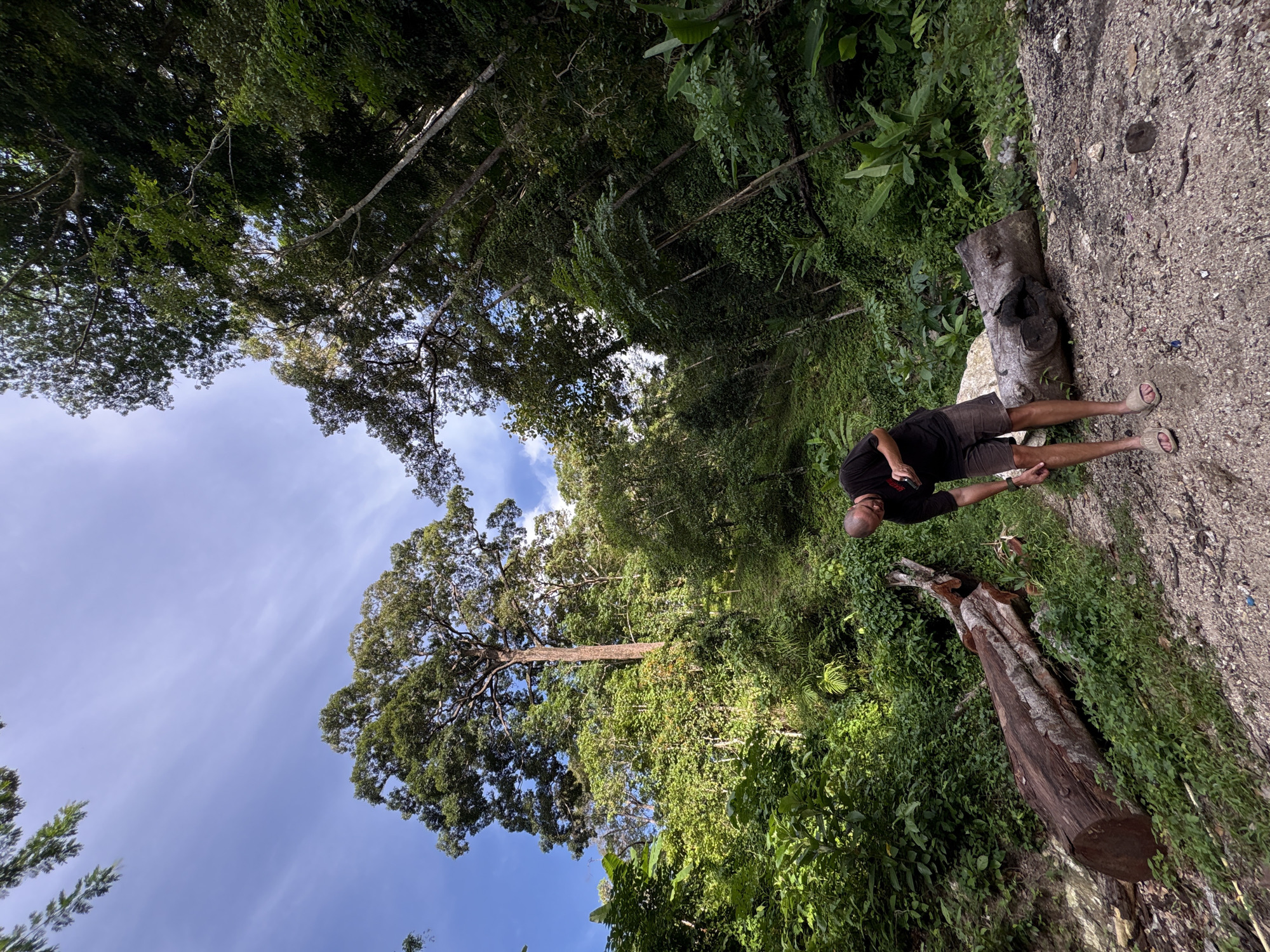 A bald man wearing a black t-shirt and brown shorts stands in a wooded area in Choeng Thale, Thailand. He is bent over, looking at something on the ground near a large fallen tree trunk. The tree trunk is approximately six feet in length and is covered in moss and lichen. Another fallen log, charred and hollowed out, lies nearby. The man is wearing tan sandals. The background is a dense forest with tall trees and lush vegetation. The sky is visible above the trees, with some clouds. The ground is a mix of dirt and gravel.