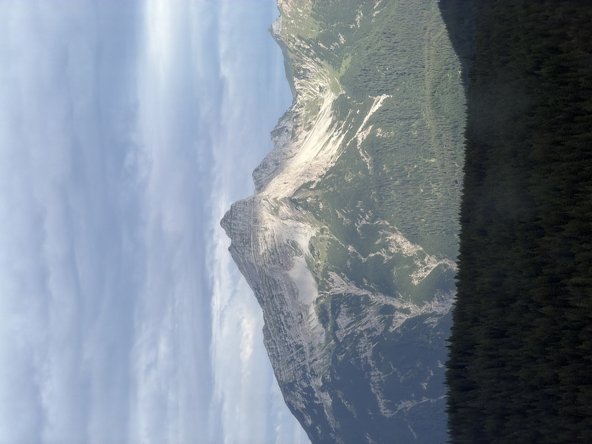 An overcast sky with soft grey and white clouds hovers above a dramatic mountain landscape. The mountains are rugged and steep, with visible layers of rock and scree. Patches of sunlight illuminate some of the slopes, highlighting the textures of the rock and sparse vegetation. The lower slopes of the mountains are covered in dense, dark green evergreen forests. In the foreground, a very dark, dense evergreen forest stretches across the bottom of the frame, creating a strong horizontal line that contrasts with the verticality of the mountains. The scene is devoid of human presence or any man-made structures. The image appears to be a photograph of the Alps, likely in a region known for its mountainous terrain and forests, such as the Bavarian Alps near Grainau, Germany.