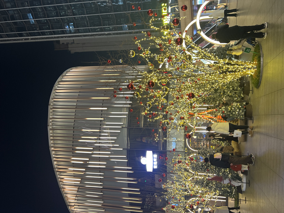 This image depicts a nighttime scene at a commercial plaza in Liangjiang, Chongqing, China, specifically identified by signage as "Chongqing Liangjiang Starlight World." The foreground and midground of the outdoor plaza are elaborately decorated for a holiday season.
A prominent, curved, multi-story building occupies the left side, featuring a facade of vertical metallic panels illuminated by warm white linear lights that create a dynamic, undulating pattern. Its lower levels have large glass windows revealing interior lighting. To the right of this, a taller, rectilinear glass skyscraper extends upwards into the dark night sky.
The plaza itself is densely populated with numerous deciduous trees, bare of leaves, heavily adorned with warm white string lights and large, reflective spherical ornaments in red and gold or silver. Smaller, conical artificial Christmas trees, also illuminated, are placed around the bases of the larger trees. A large white gnome-like figure with a red hat is visible near a tree on the left. Further back, illuminated archways and a teepee-like structure are discernible. The ground is a light-colored tiled surface, well-lit by the extensive decorative and building lights.
Approximately 15-20 individuals, dressed in winter jackets and coats, are present in the scene. They are seen standing, walking, and observing the decorations. One person in the mid-ground, wearing a dark coat, pushes a stroller. A child is visible near an adult in a dark jacket with a light-colored backpack. Other individuals are scattered throughout the plaza, some in conversation, others simply moving through the festive environment.