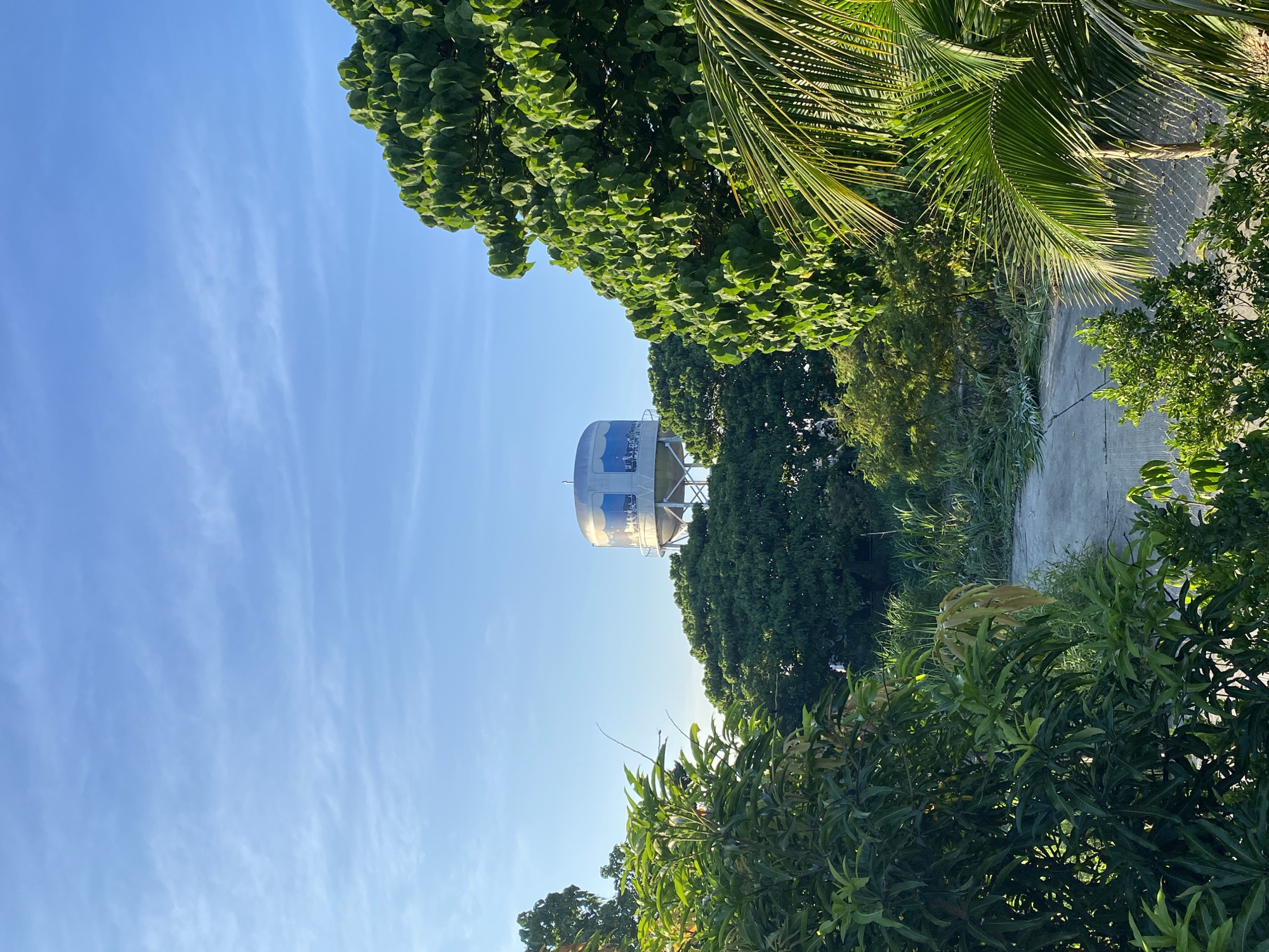 The image depicts a water tower partially obscured by lush green foliage, set against a clear blue sky with wispy white clouds. The water tower is white with a blue mural encircling its upper section, and it stands on a tall, metallic support structure. In the foreground and midground, various trees and plants are visible, creating a sense of tropical or subtropical environment. A paved pathway or road is also discernible amidst the vegetation. The lighting suggests it is either early morning or late afternoon. This scene is likely located in a suburban or rural area on the outskirts of Davao City, Philippines, given the abundant vegetation and the presence of a water tower, which are common in such areas to supply water to communities. There are no people or animals visible in the image.
